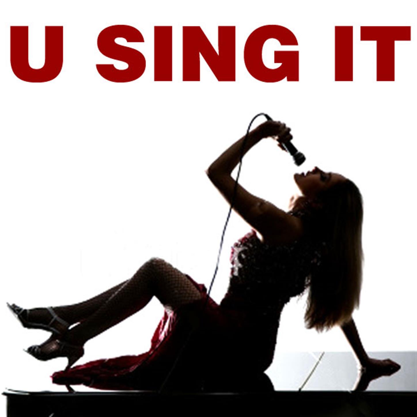 U Sing It - Karaoke Rock Hits