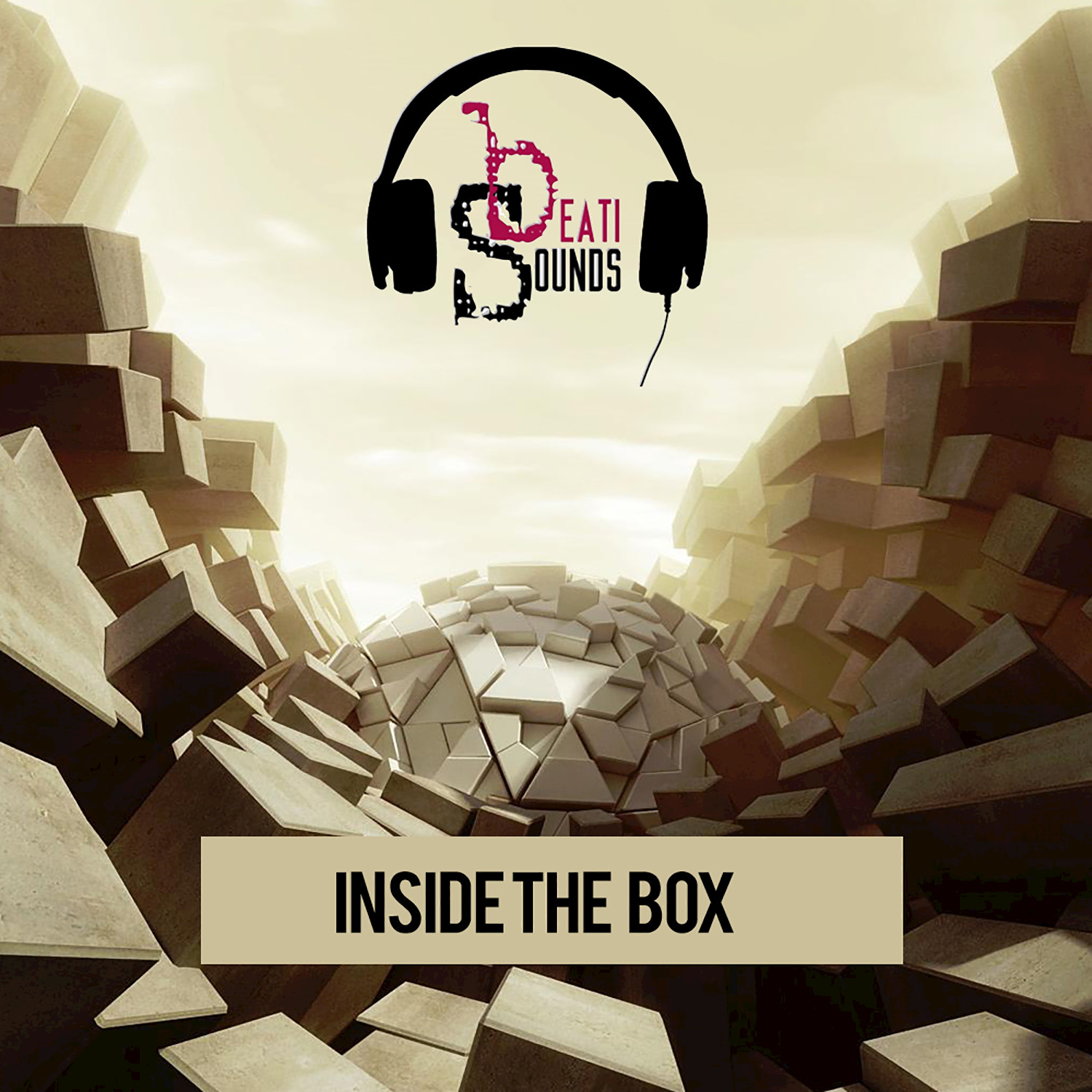 Inside the Box (Radio Edit)