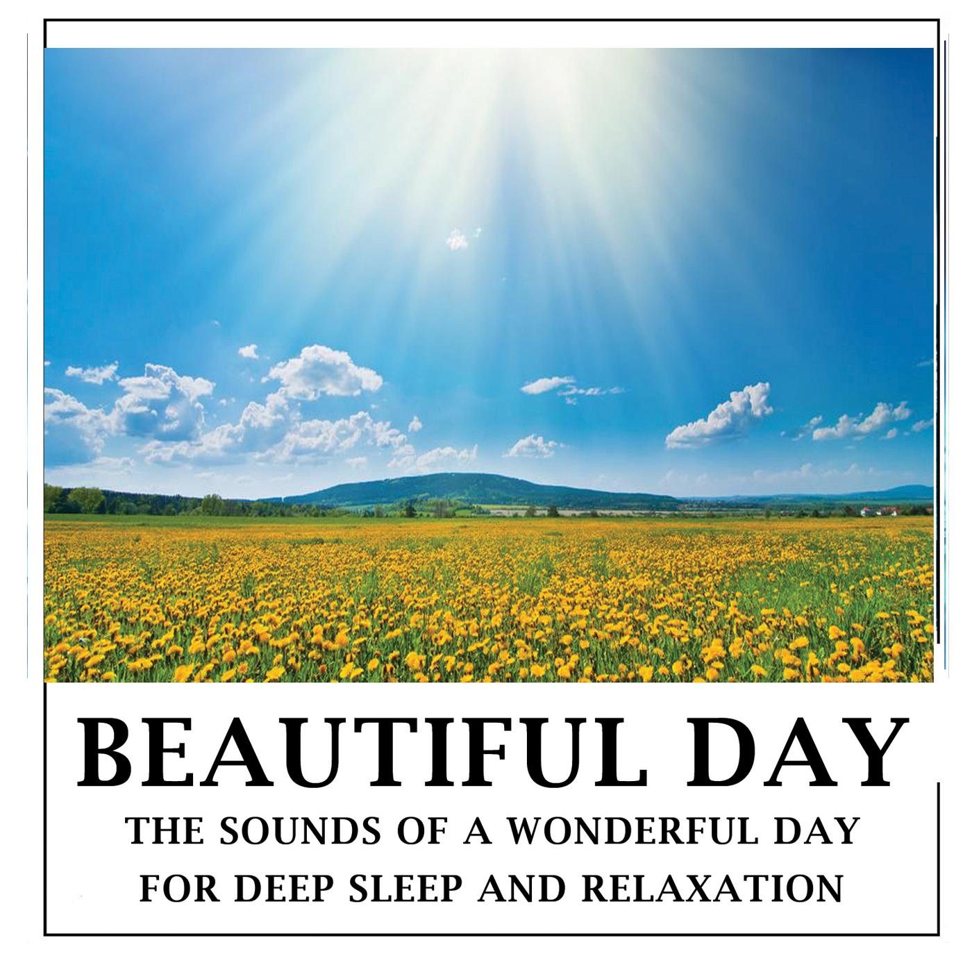 Beautiful Day -Pure sounds of nature for relaxation,deep sleep and meditation