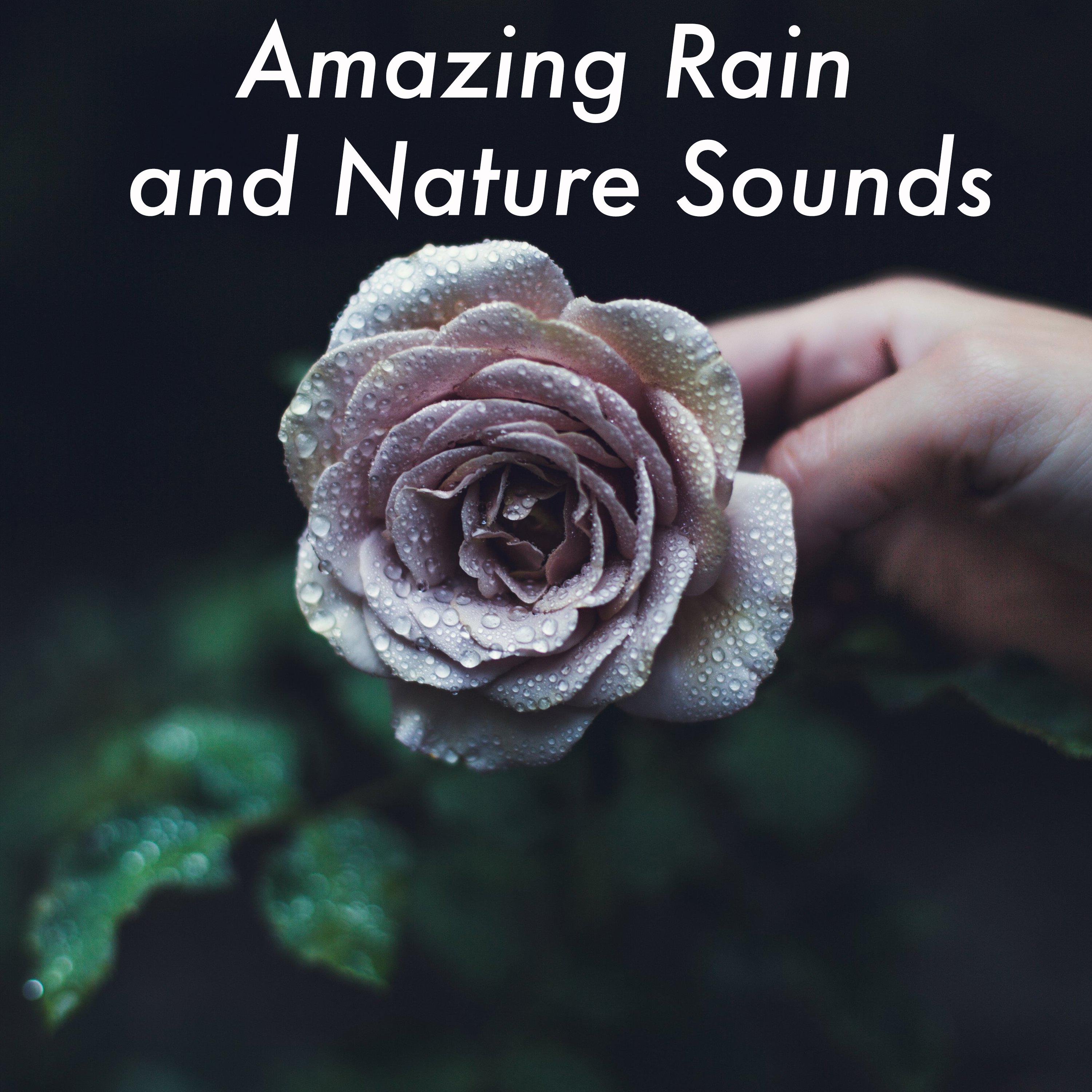 23 Amazing Rain and Nature Sounds. Ambient Rainfall for Sleep Meditation and Relaxing
