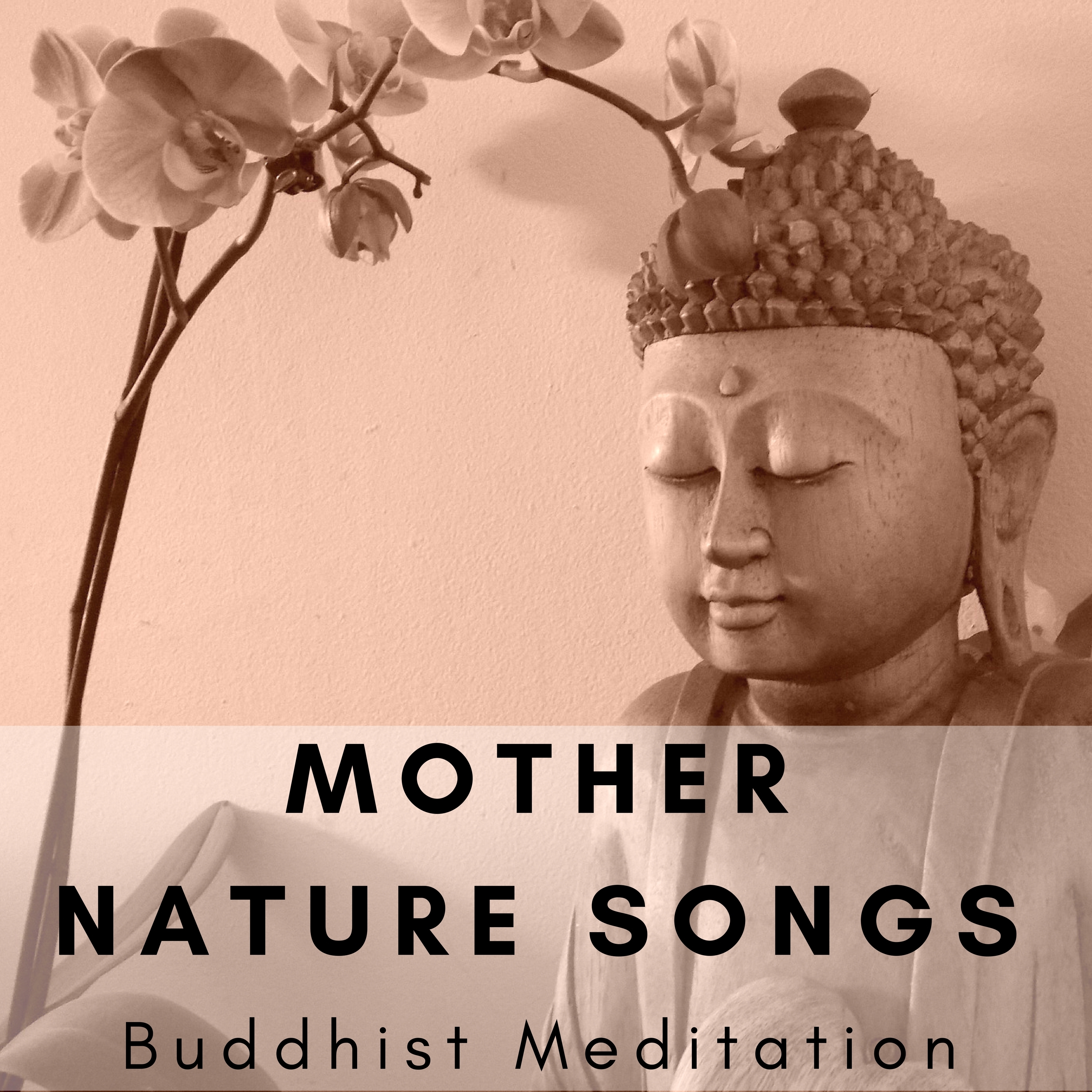 Mother Nature Songs: Buddhist Meditation, Zen Spa, Ambient New Age