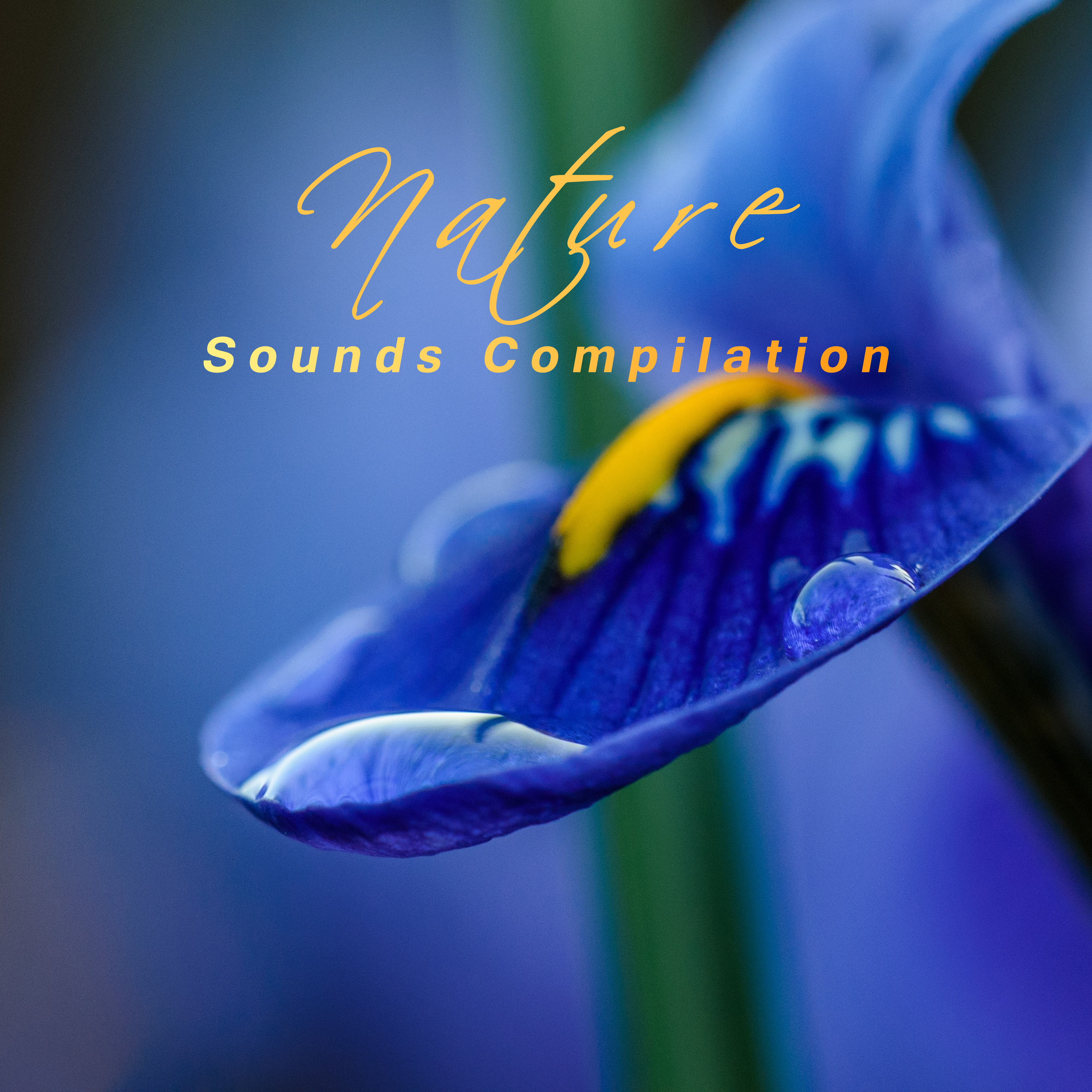 Nature Sounds Compilation – Relaxing Music Therapy, Sounds of Nature, Relaxation & Meditation, Zen