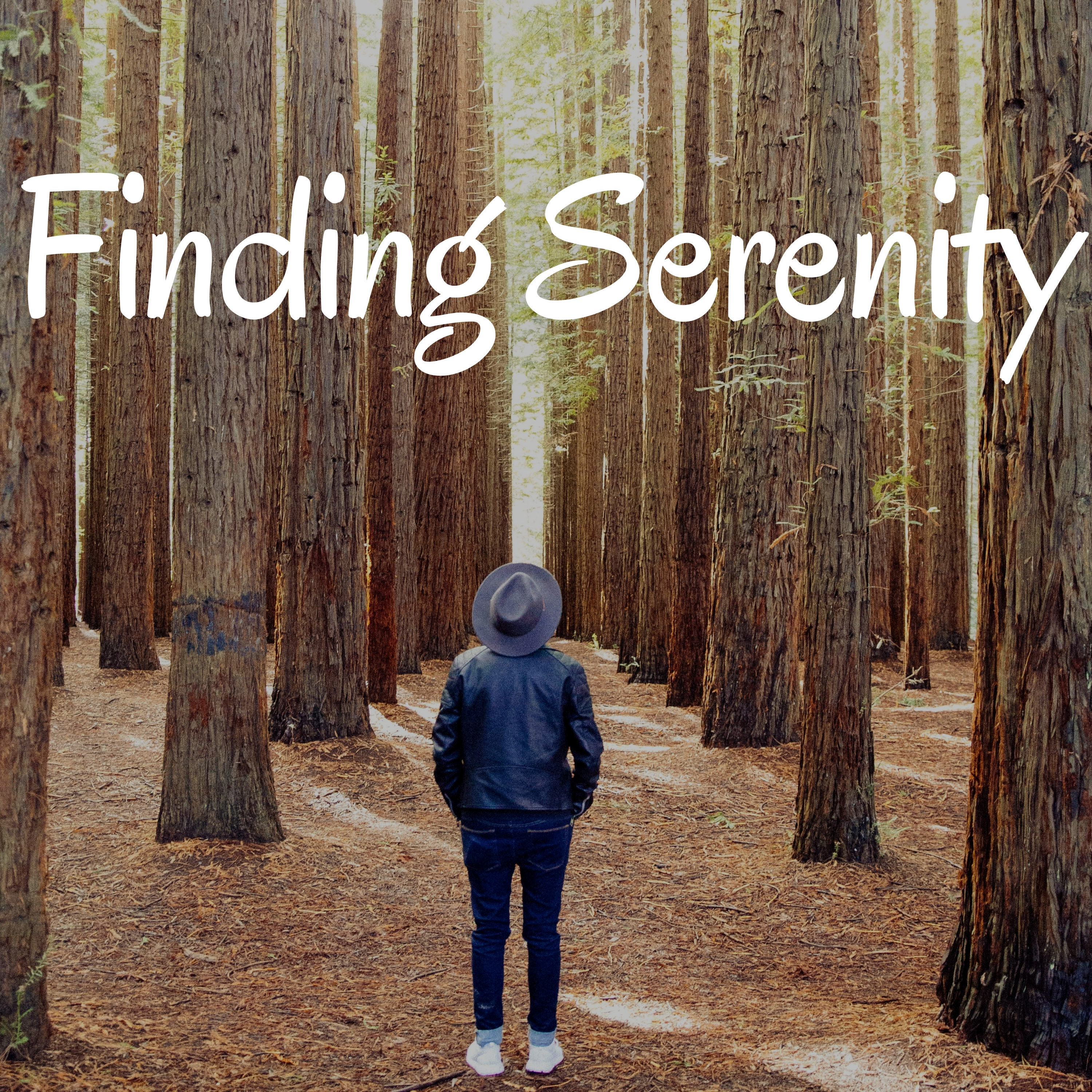 Finding Serenity: Yoga Class, Ambient Music, Yoga, Nature Sounds, Relaxing Music