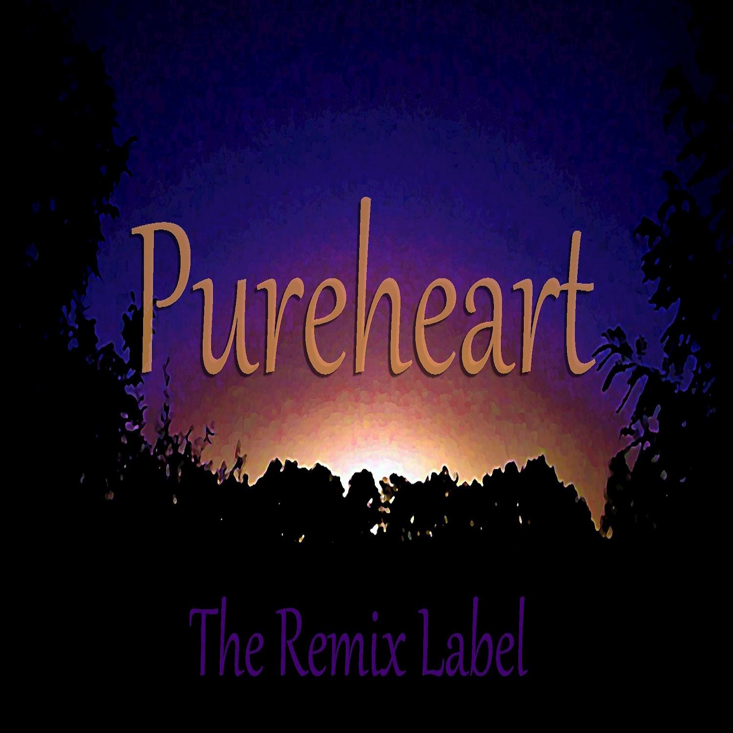 Pureheart (Paduraru Inspiring House Music Mix)