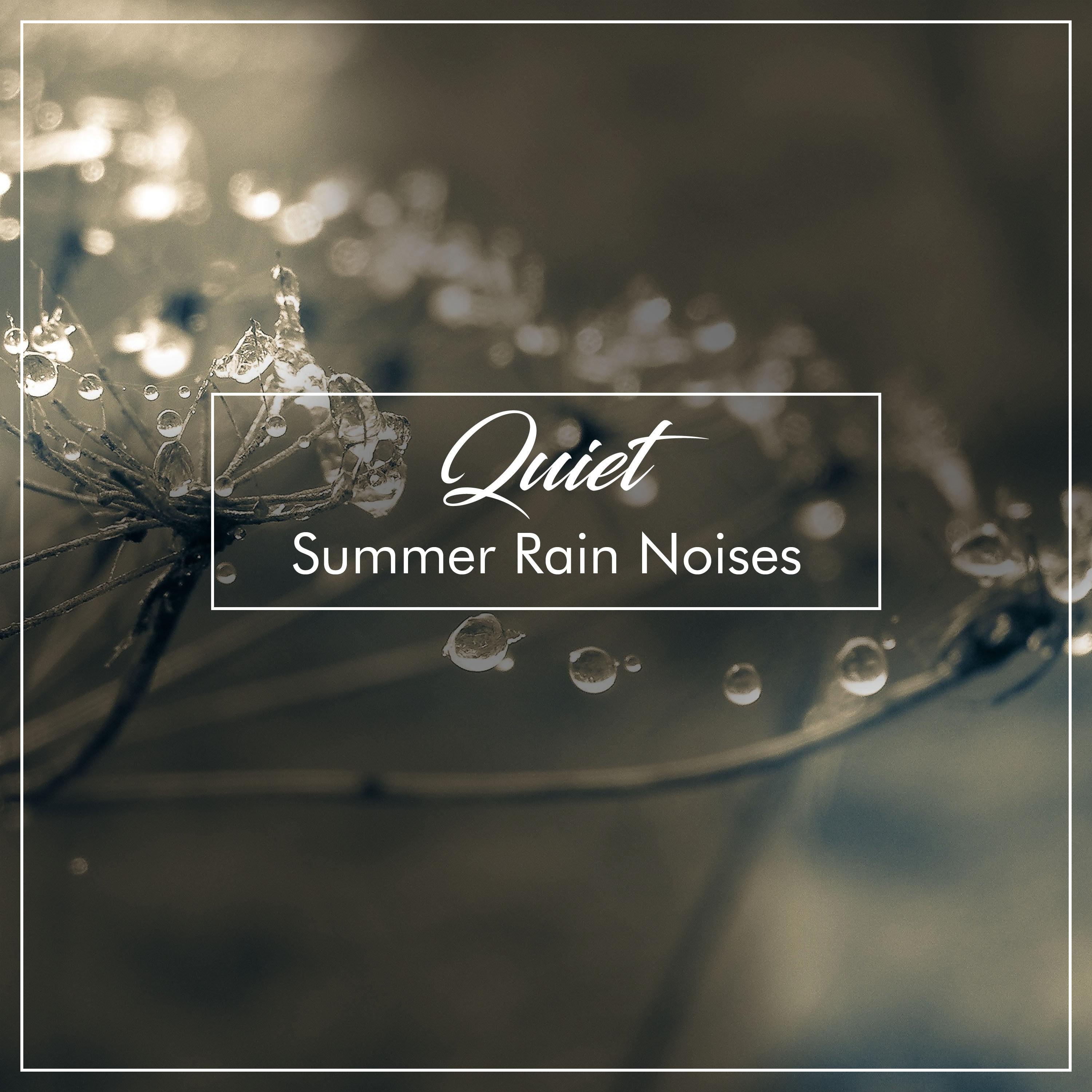 #12 Quiet Summer Rain Noises