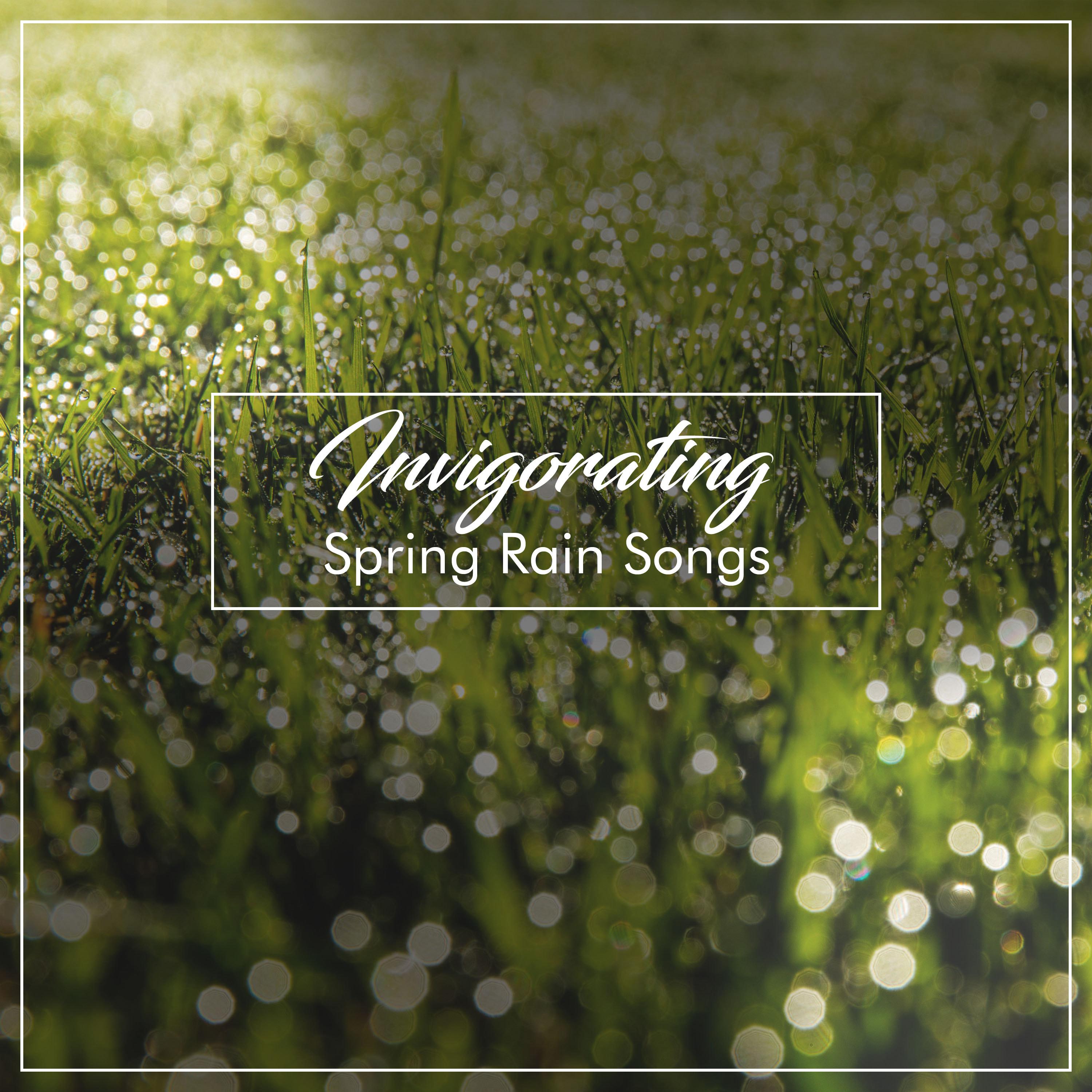 #15 Invigorating Spring Rain Songs from Nature