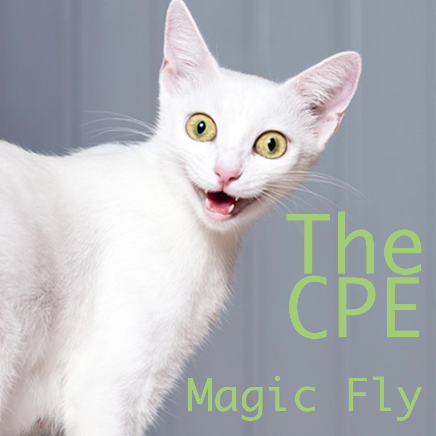 Magic Fly (House Remix) (Brutto Netto Katzen Werbung Song)