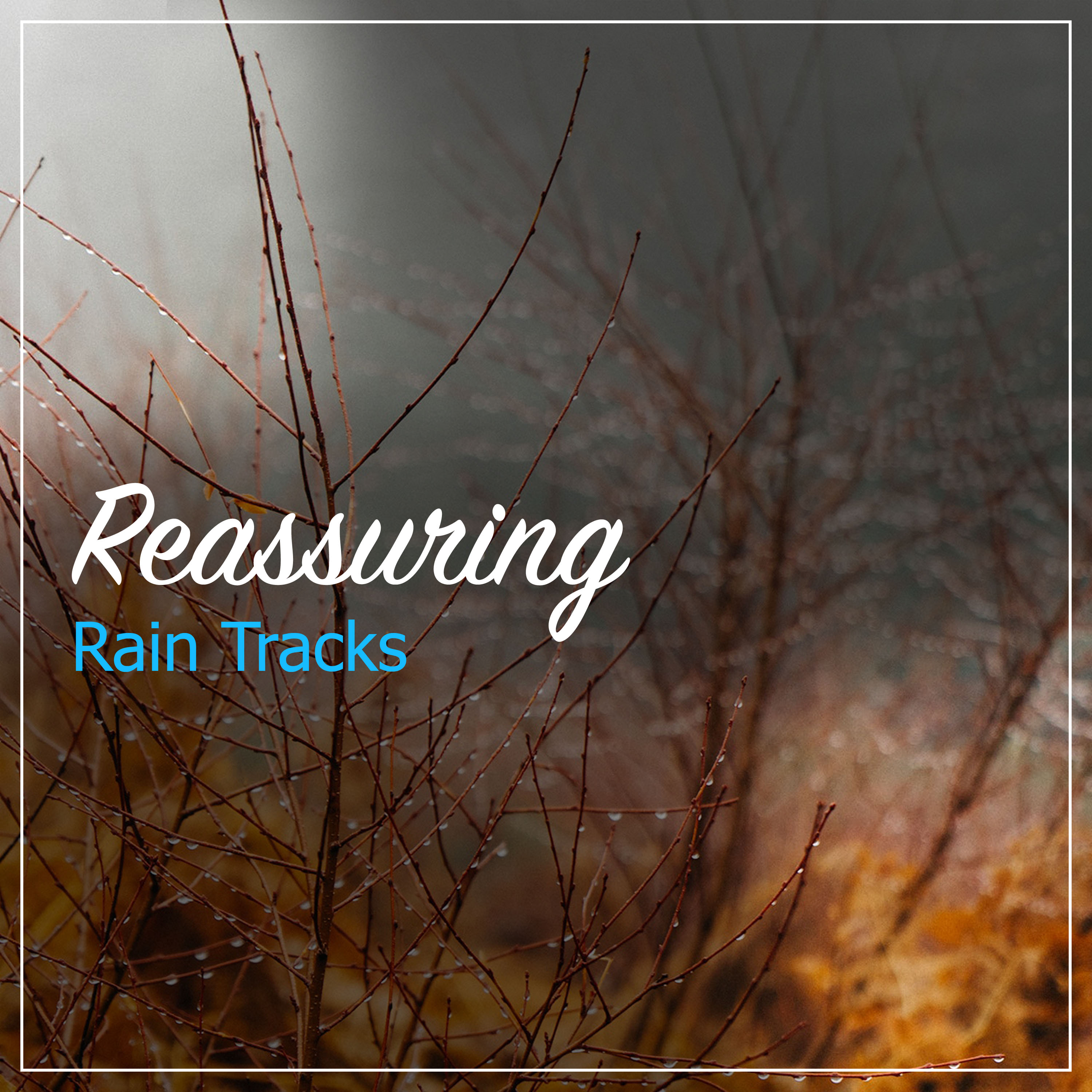 #15 Reassuring Rain Tracks