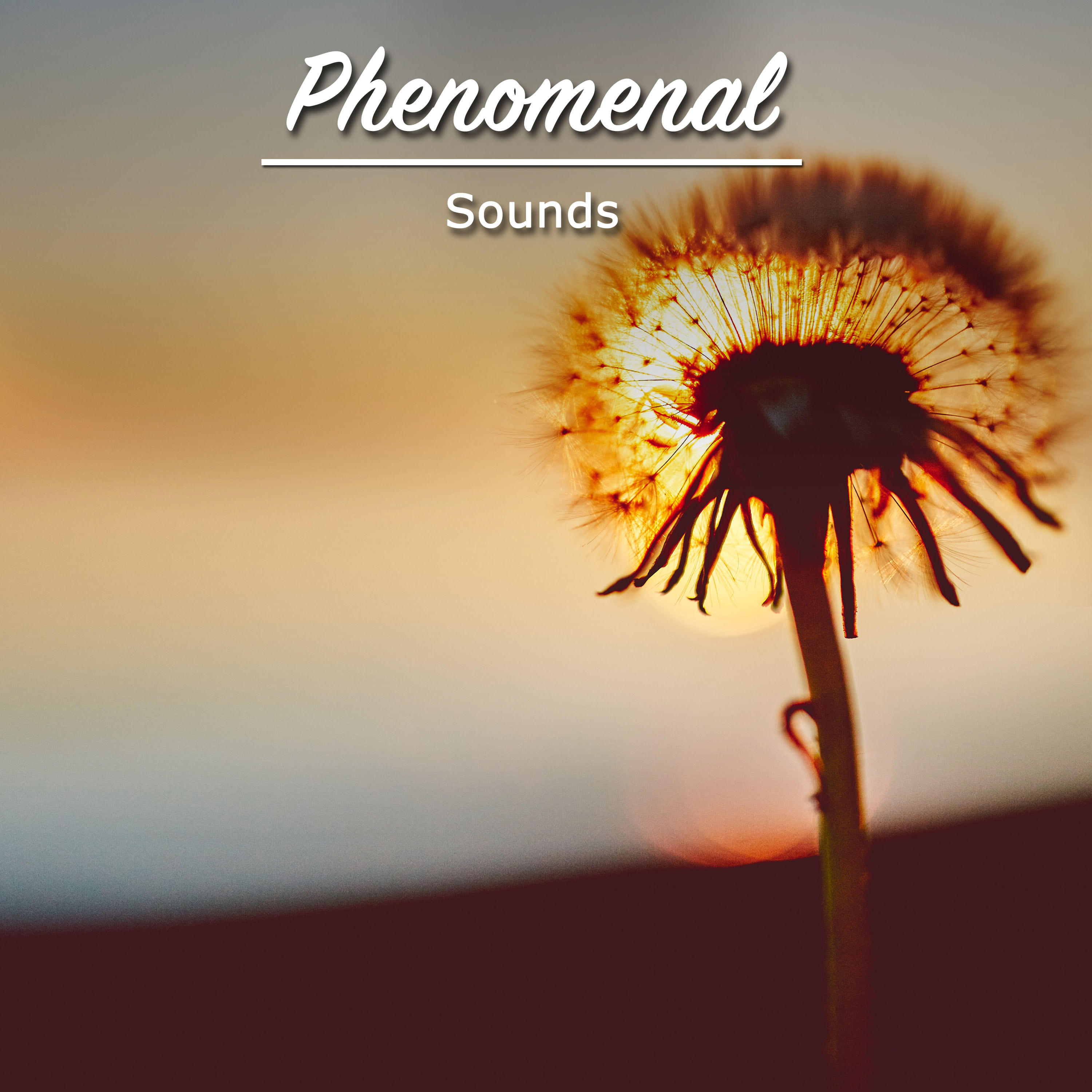 #19 Phenomenal Sounds for Sleep and Relaxation