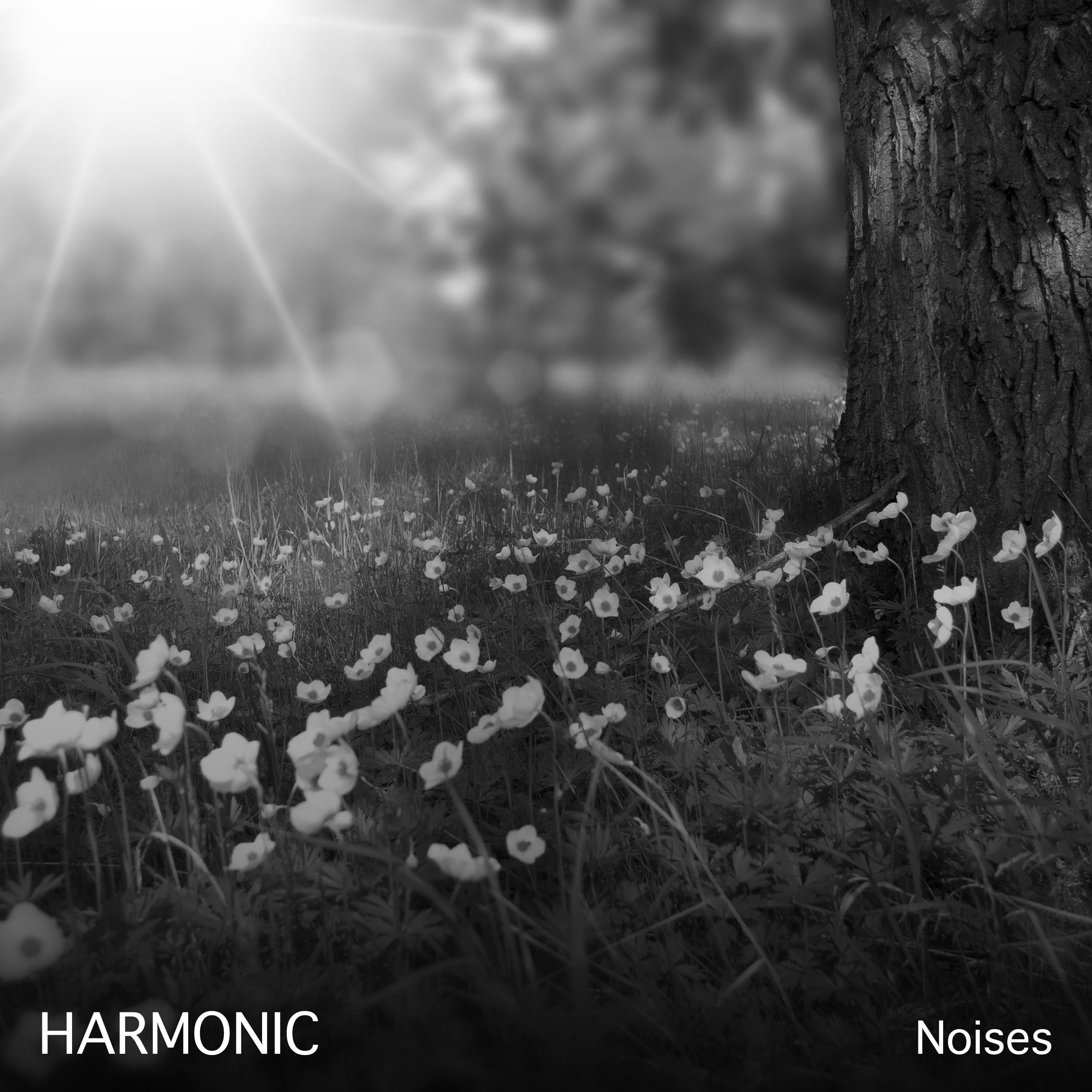 #14 Harmonic Noises for Zen Spa