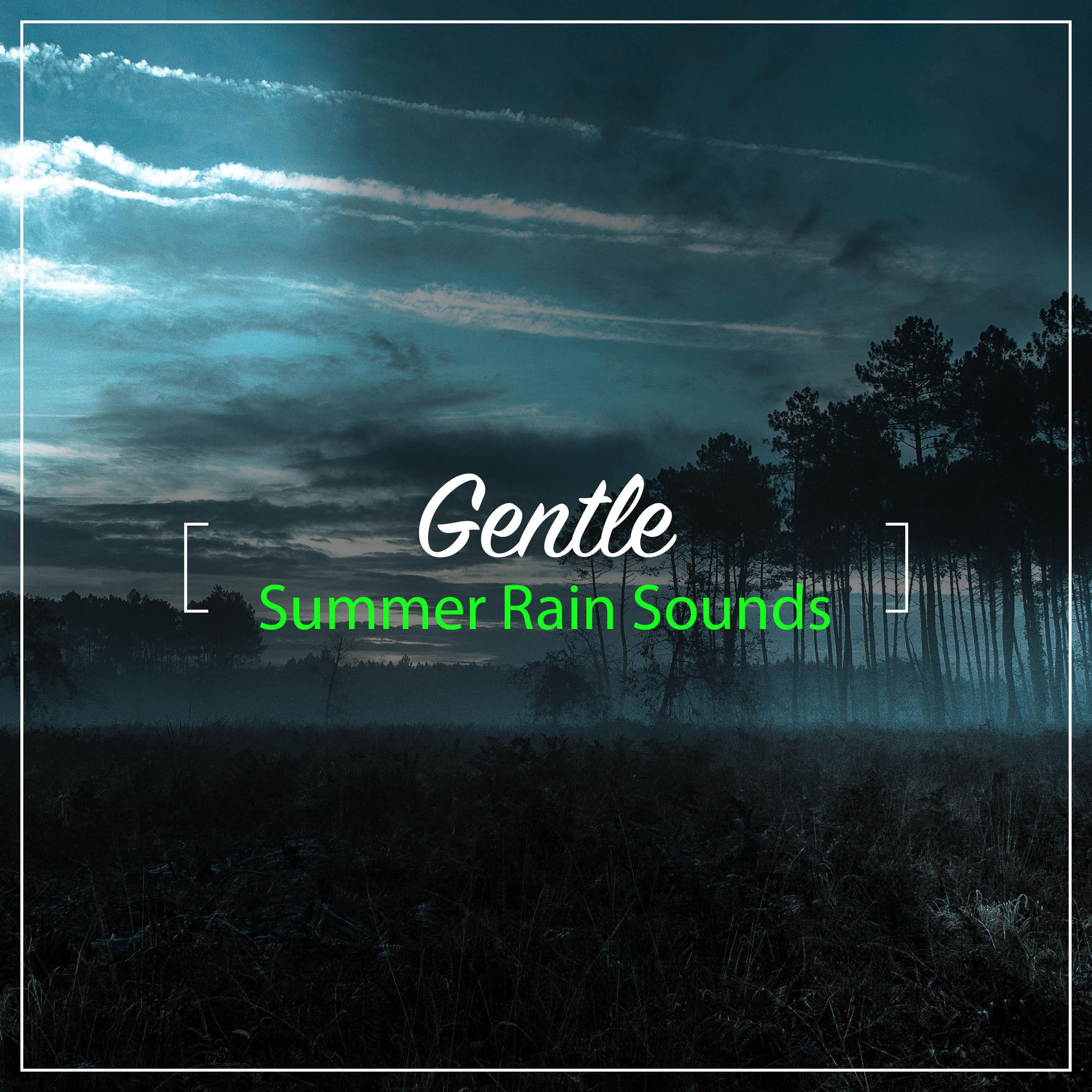 #14 Gentle Summer Rain Sounds
