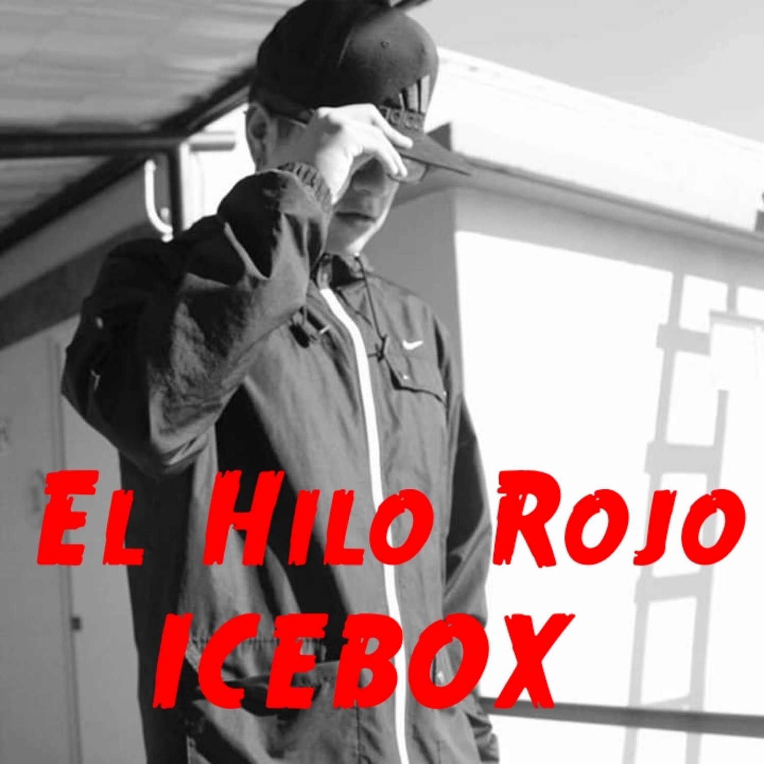 El Hilo Rojo