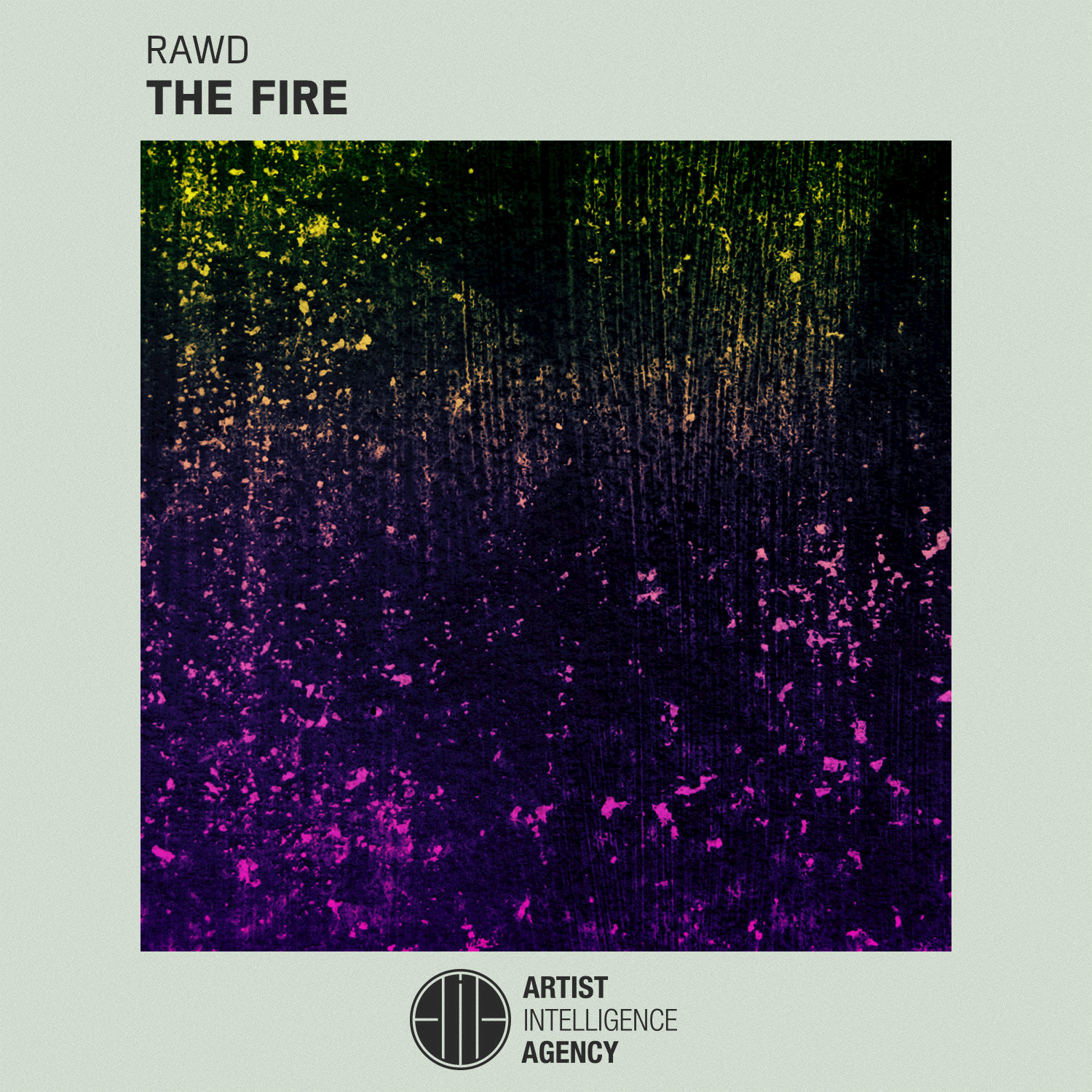 The Fire - Single