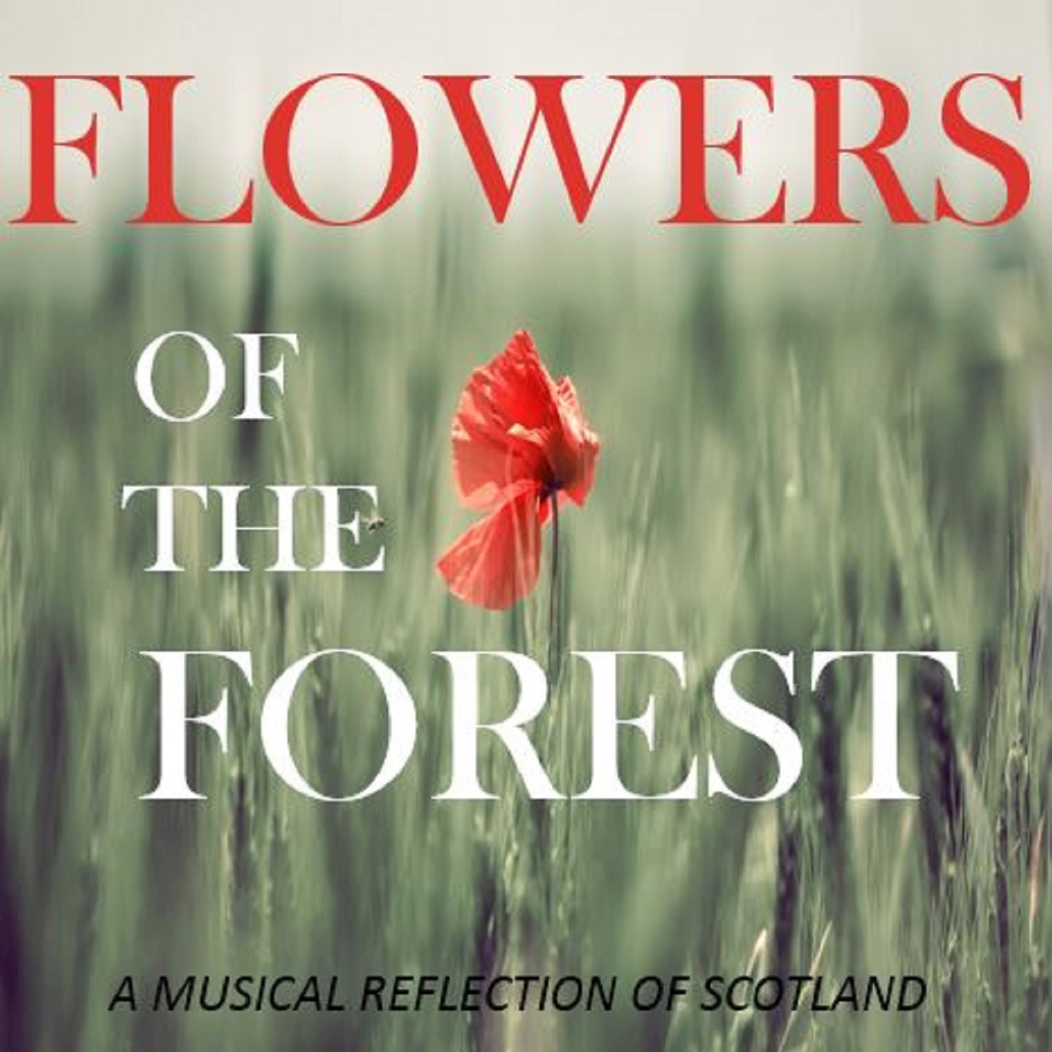 Flowers of the Forest: A Musical Reflection of Scotland