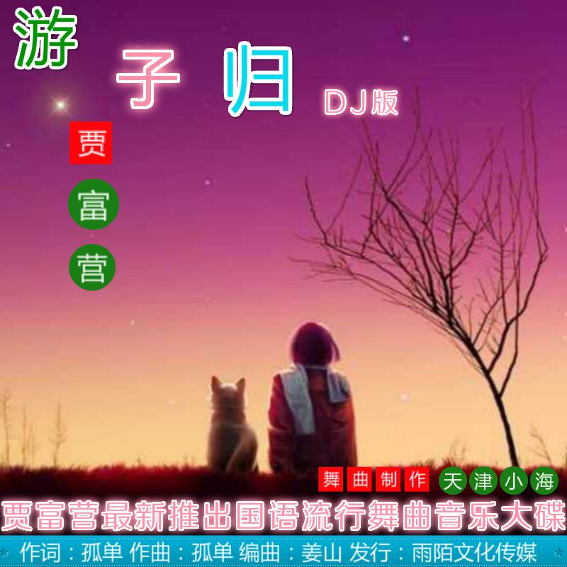 游子归（DJ舞曲版）