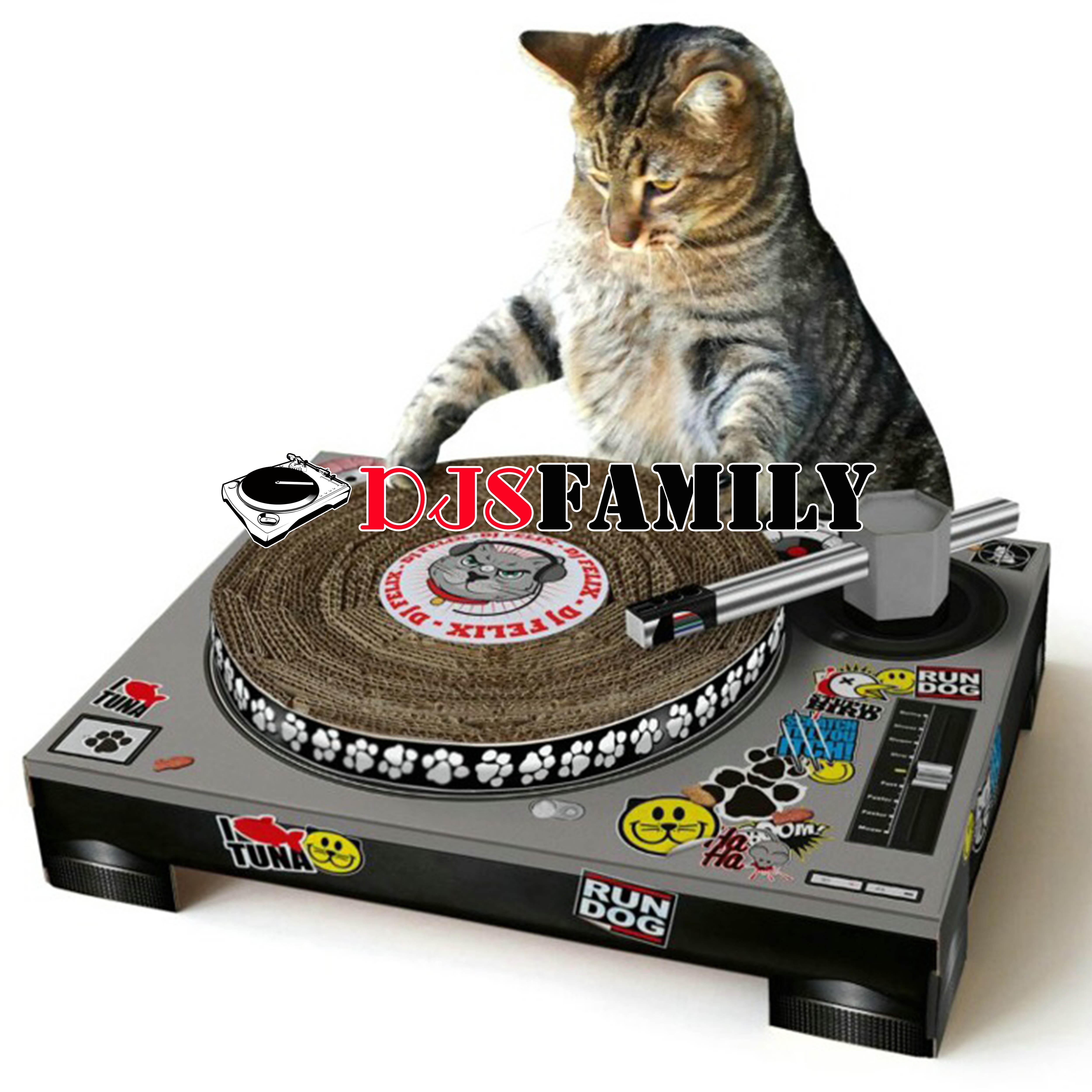 Cat Scratching Pad Mix