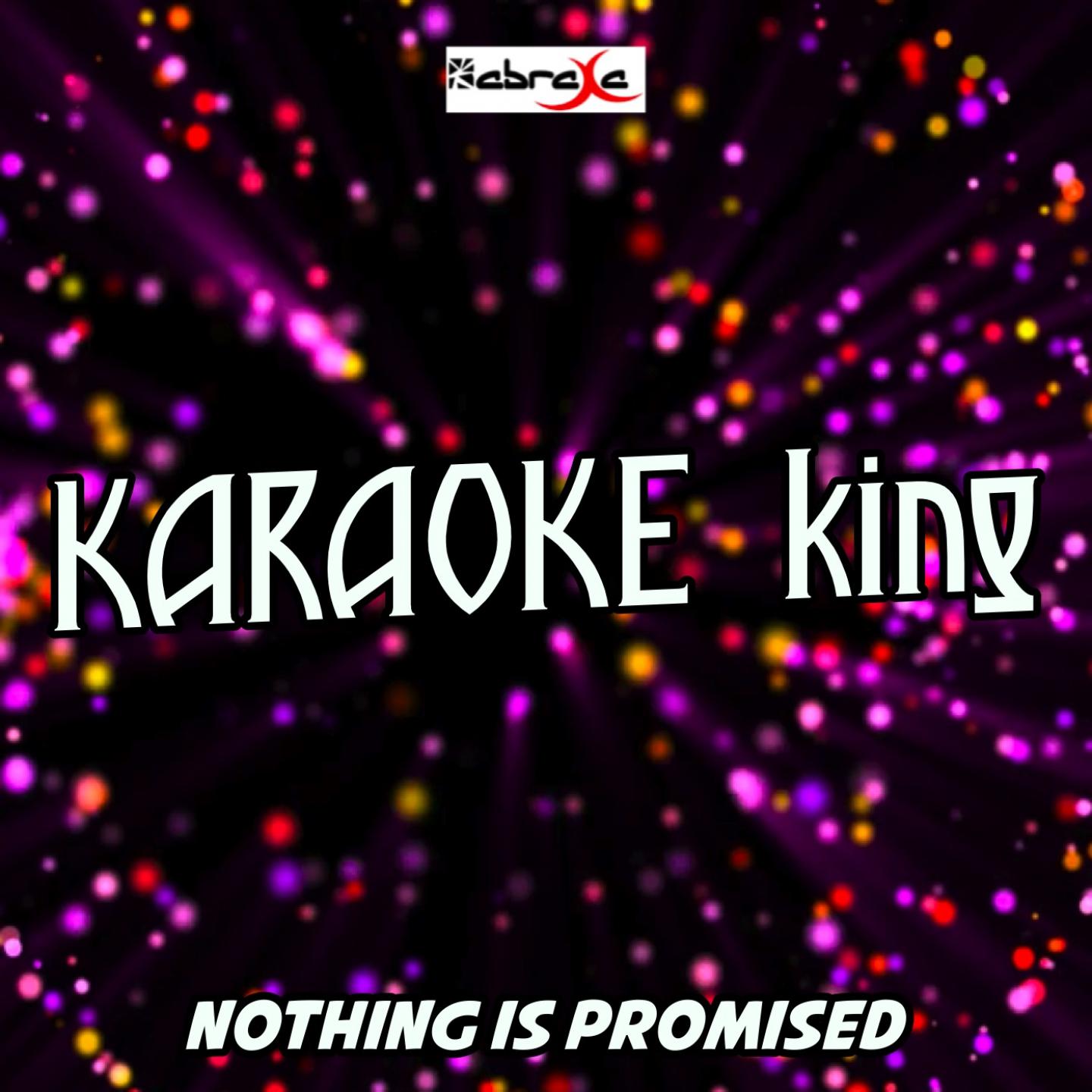 Nothing Is Promised (Karaoke Version) (Originally Performed by Mike Will Made-It and Rihanna)