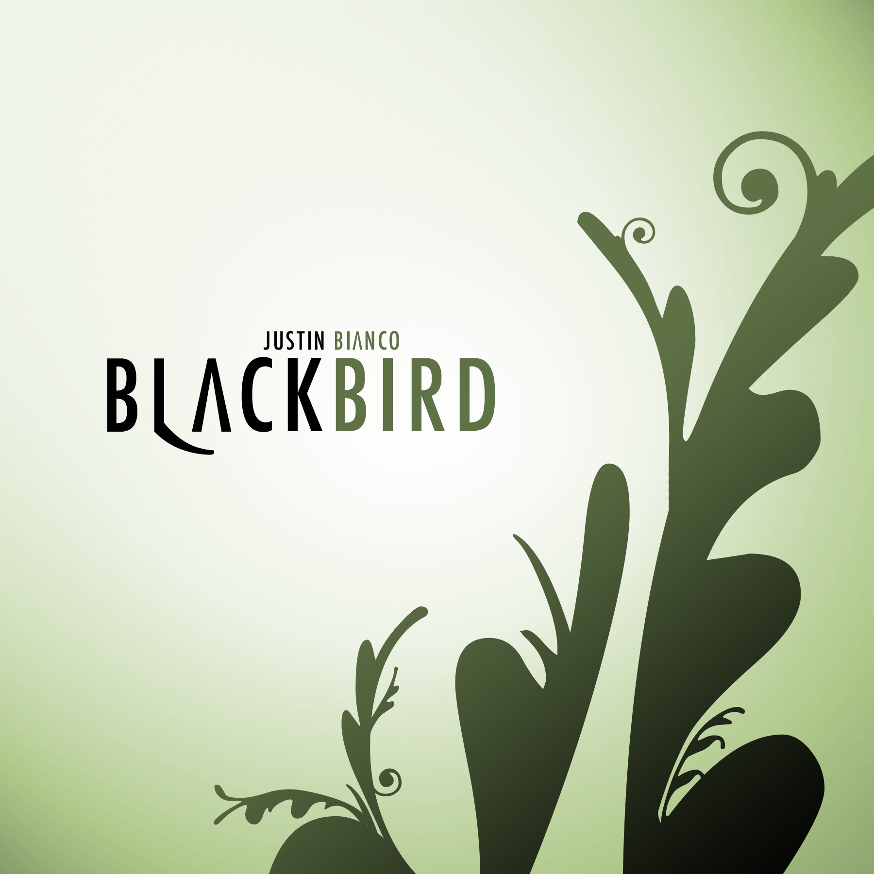 Blackbird