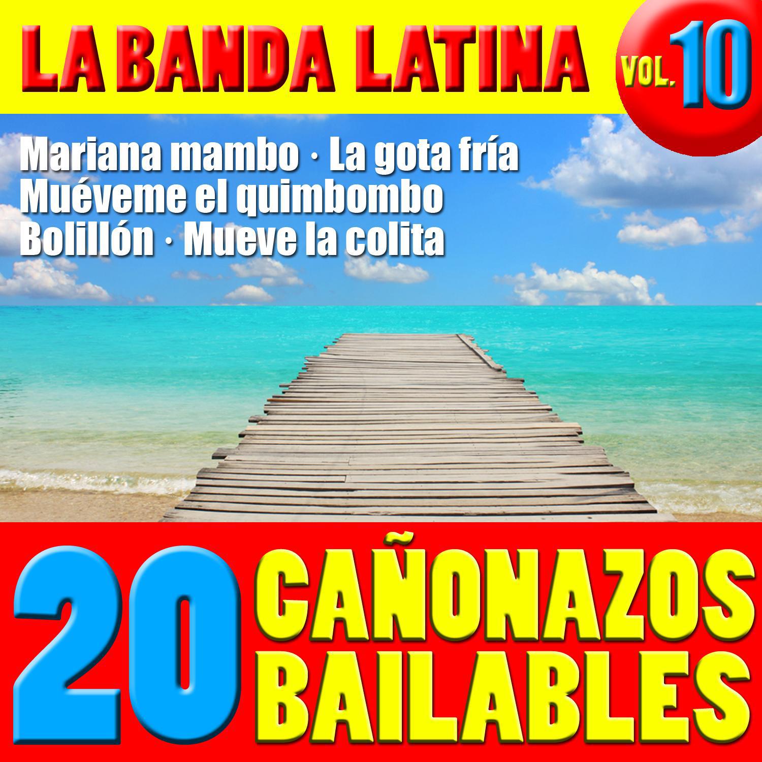 20 Temazos Bailables Vol. 10