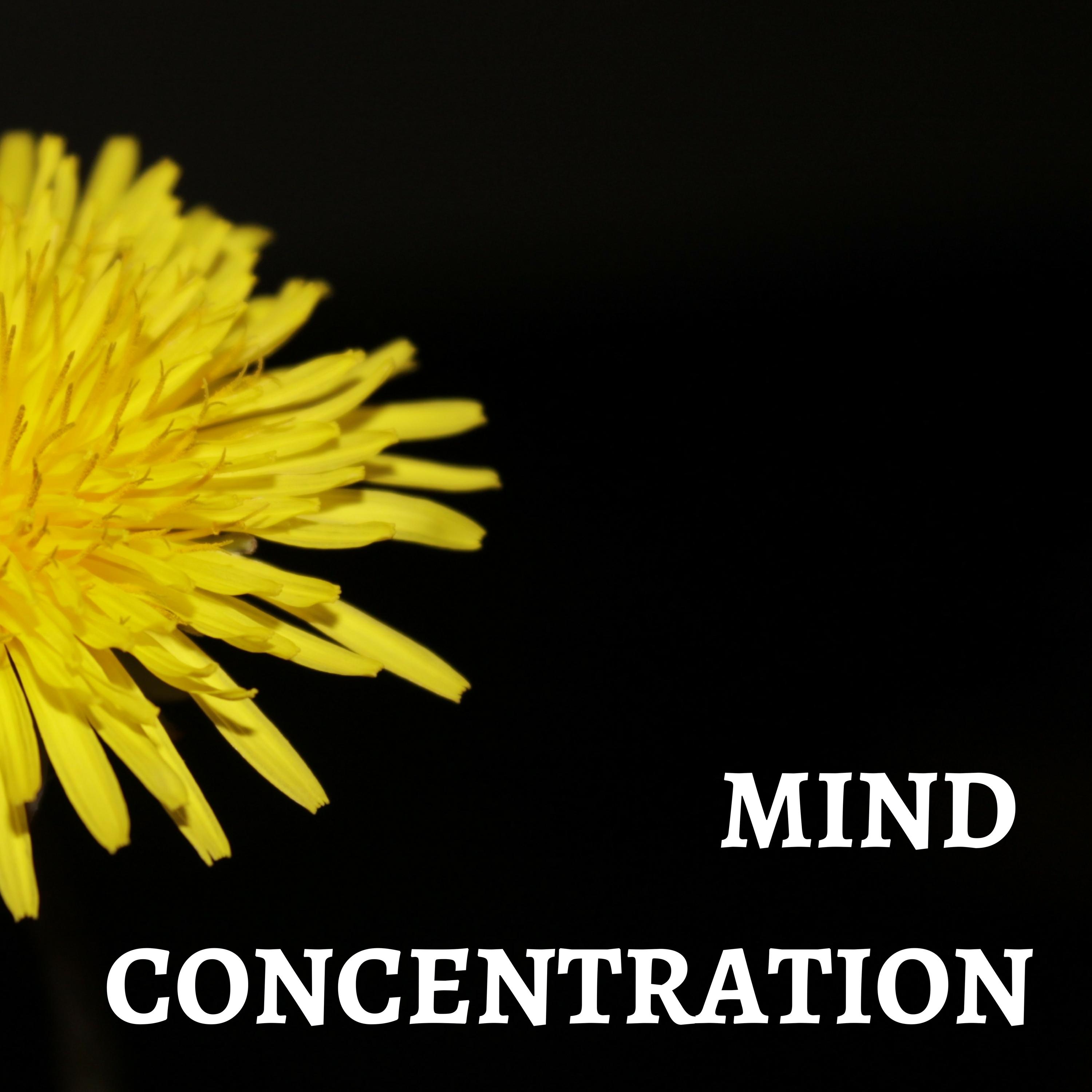 Mind Concentration