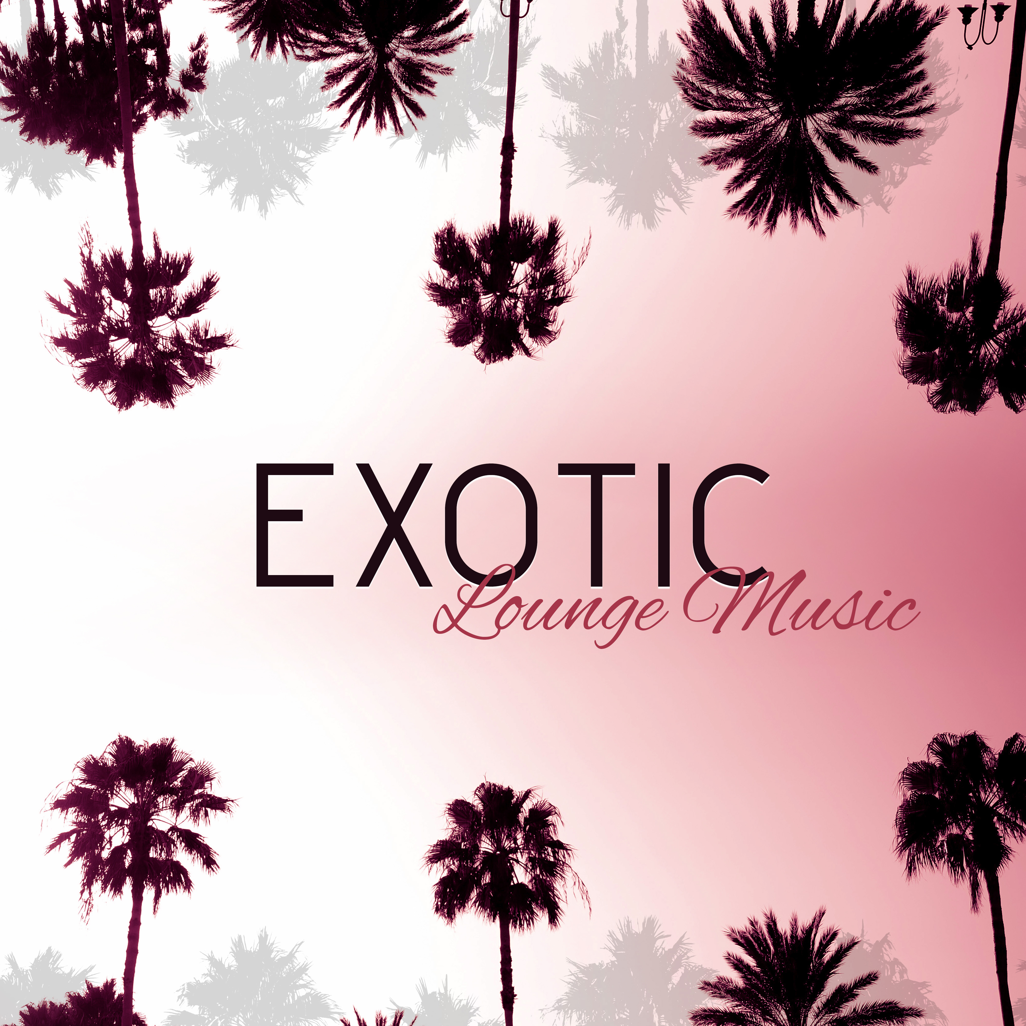 Exotic Lounge Music – Chill Out Beats, Island Relaxation, Stress Free, Music to Rest