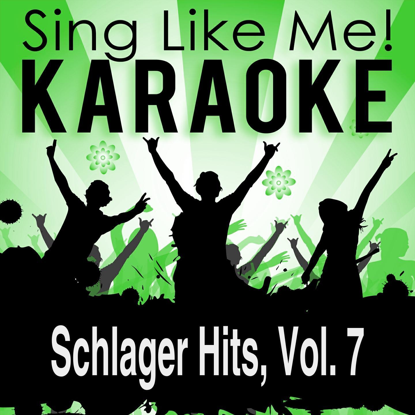 Ich bin ein Star - Holt mich hier raus! (Karaoke Version With Guide Melody) (Originally Performed By Dschungel Stars)