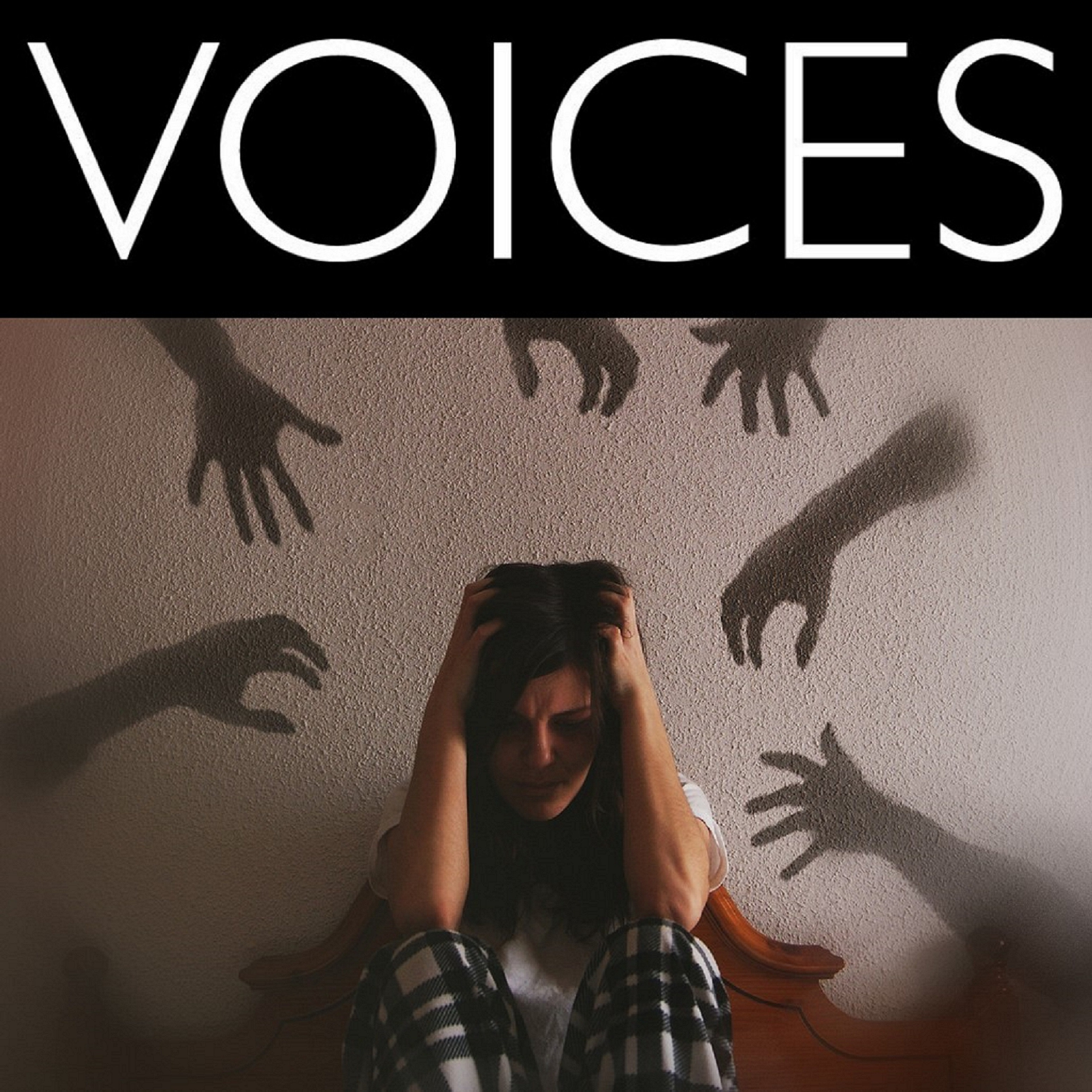 Voices