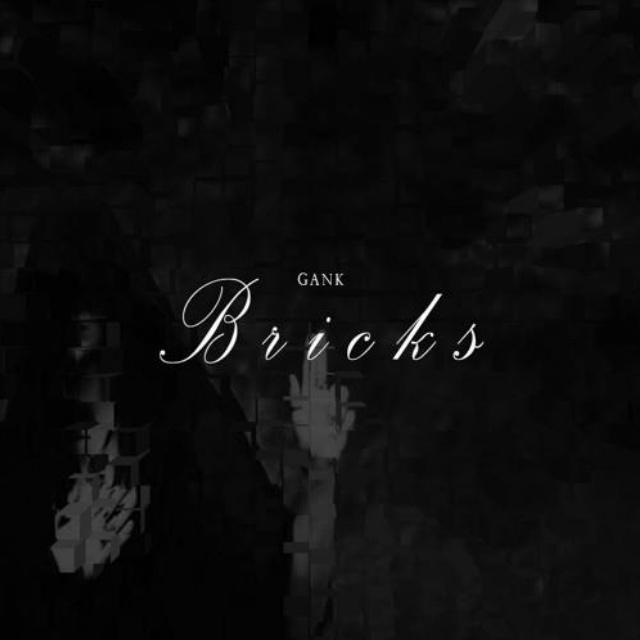 Bricks