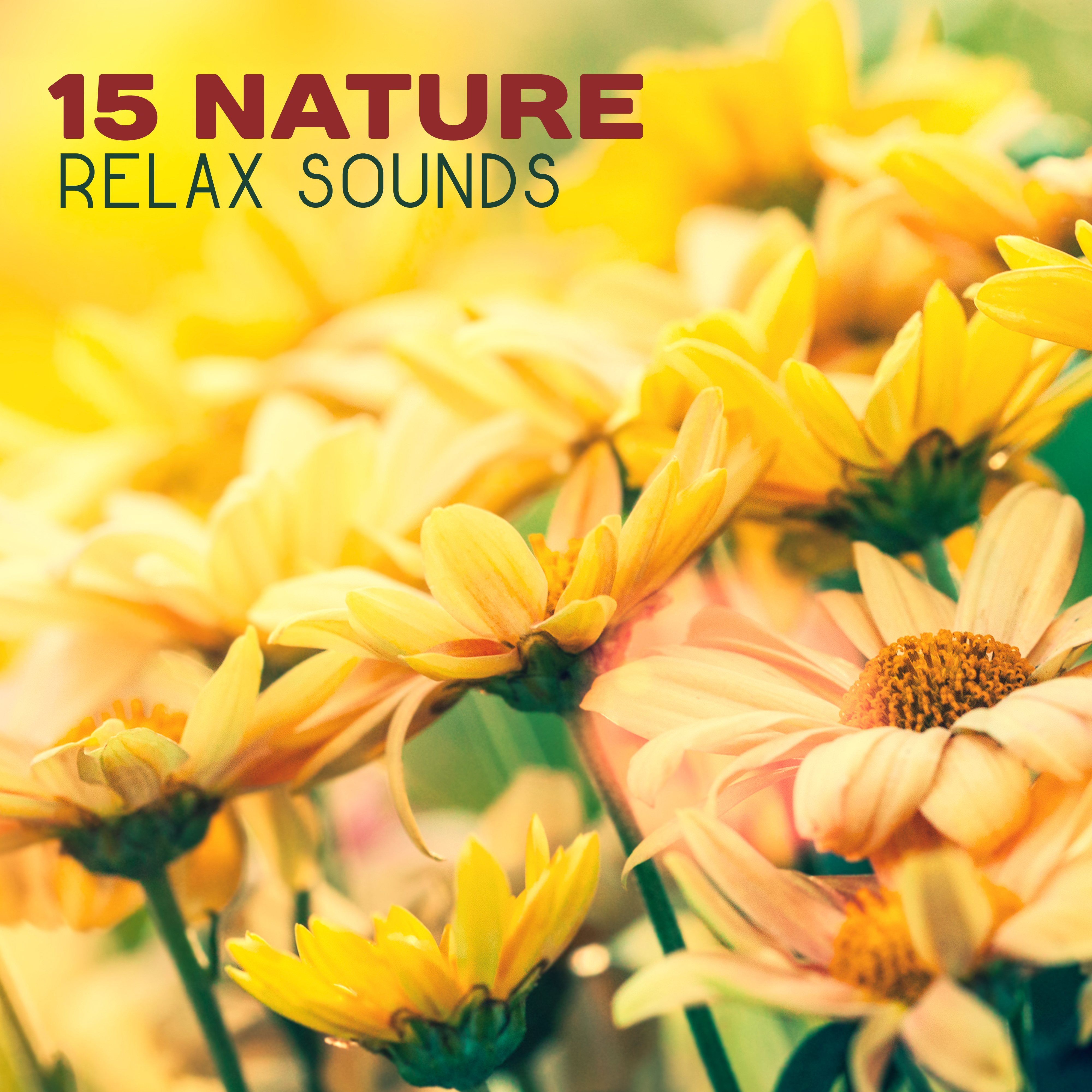 15 Nature Relax Sounds
