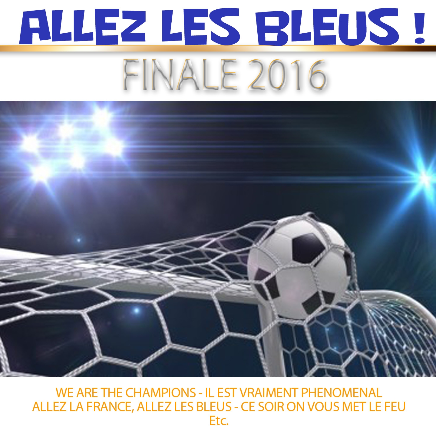 Allez les bleus! (Finale 2016)