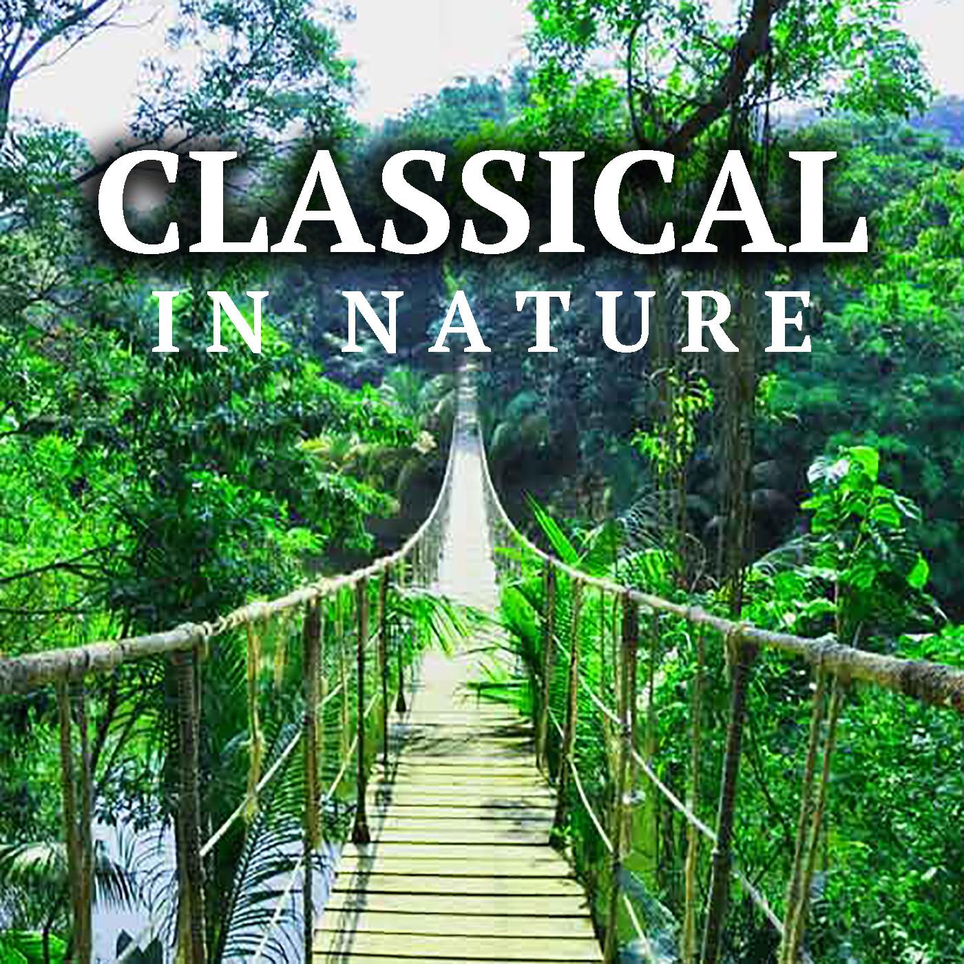 Classical In Nature