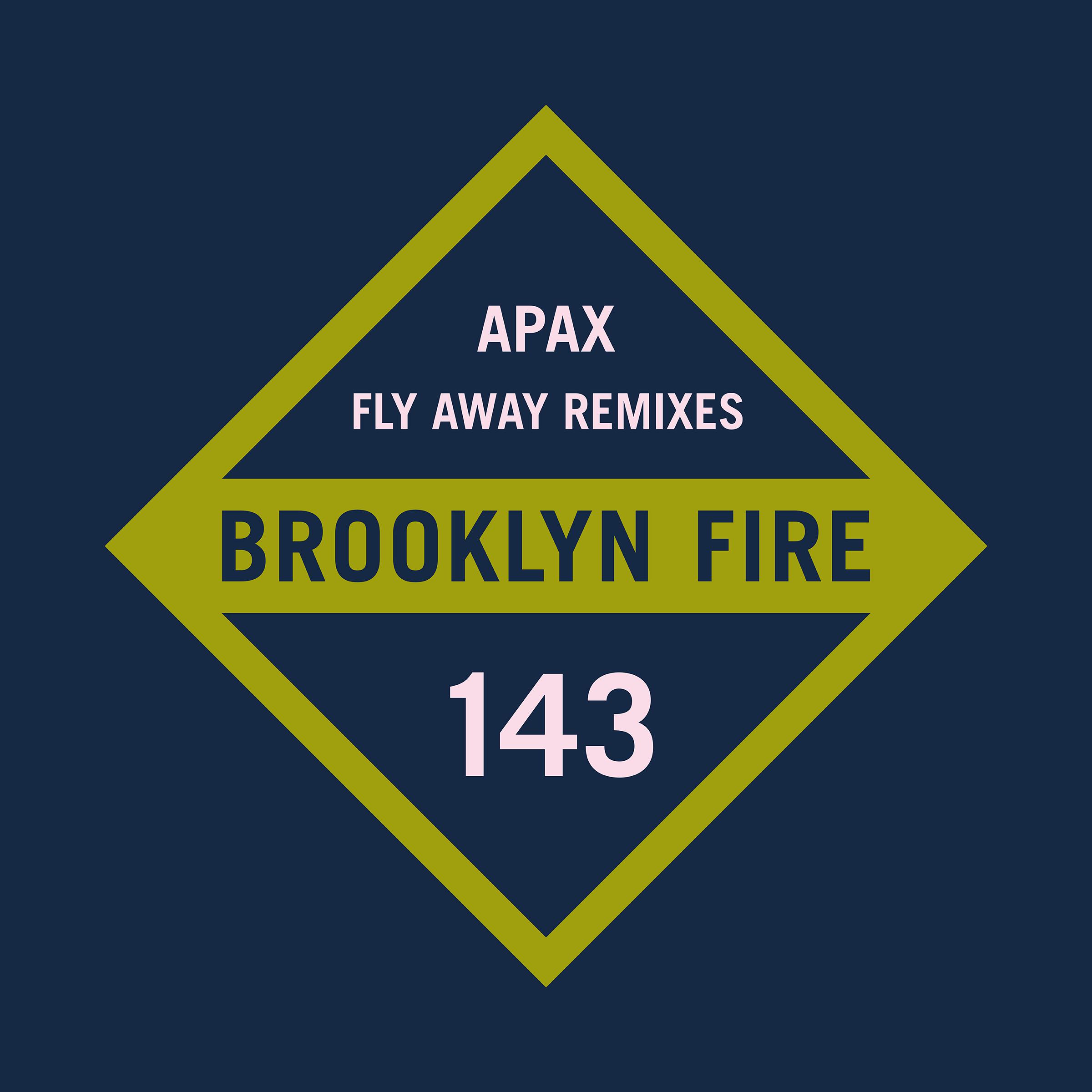 Fly Away (Mitch Kurz Remix)