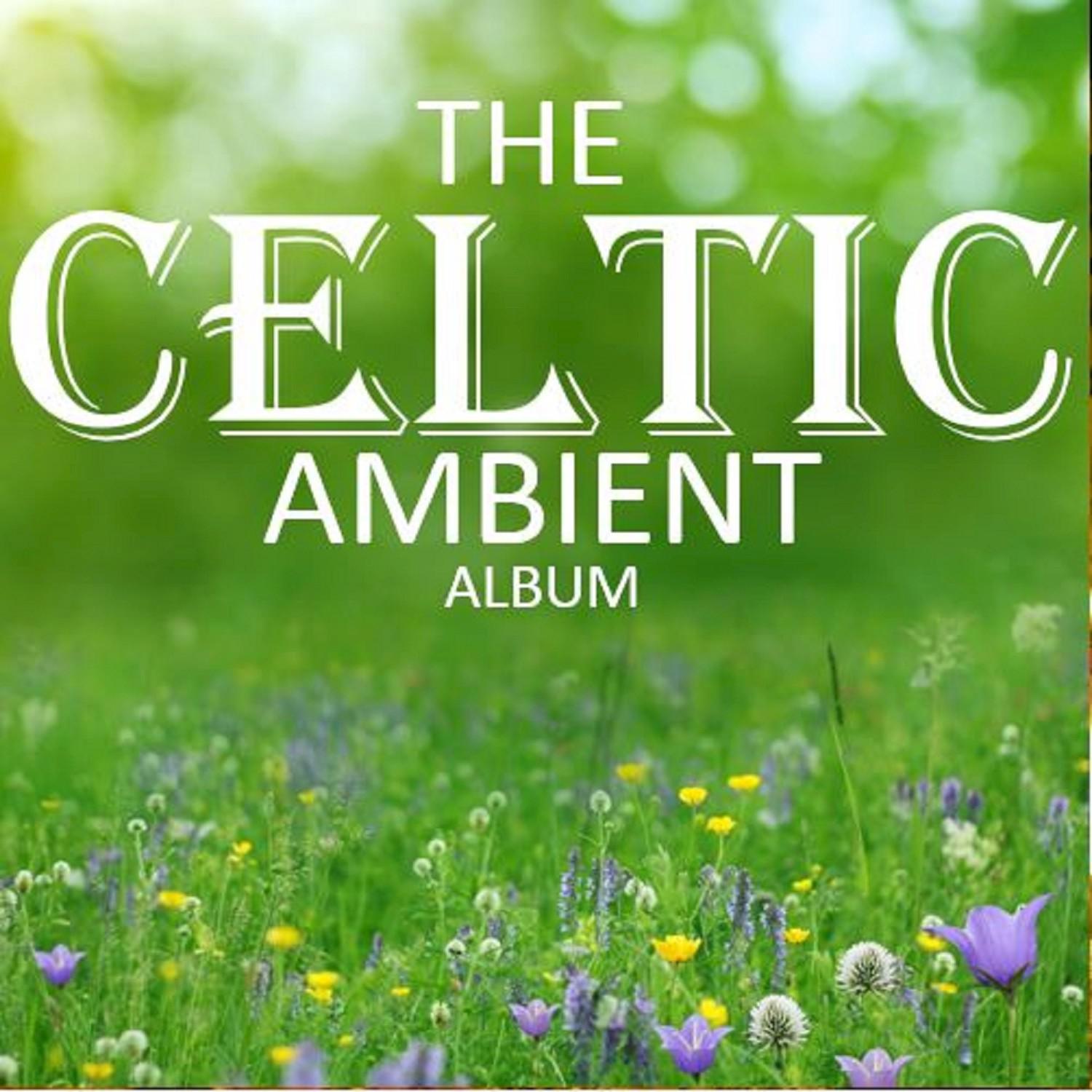 The Celtic Ambient Album