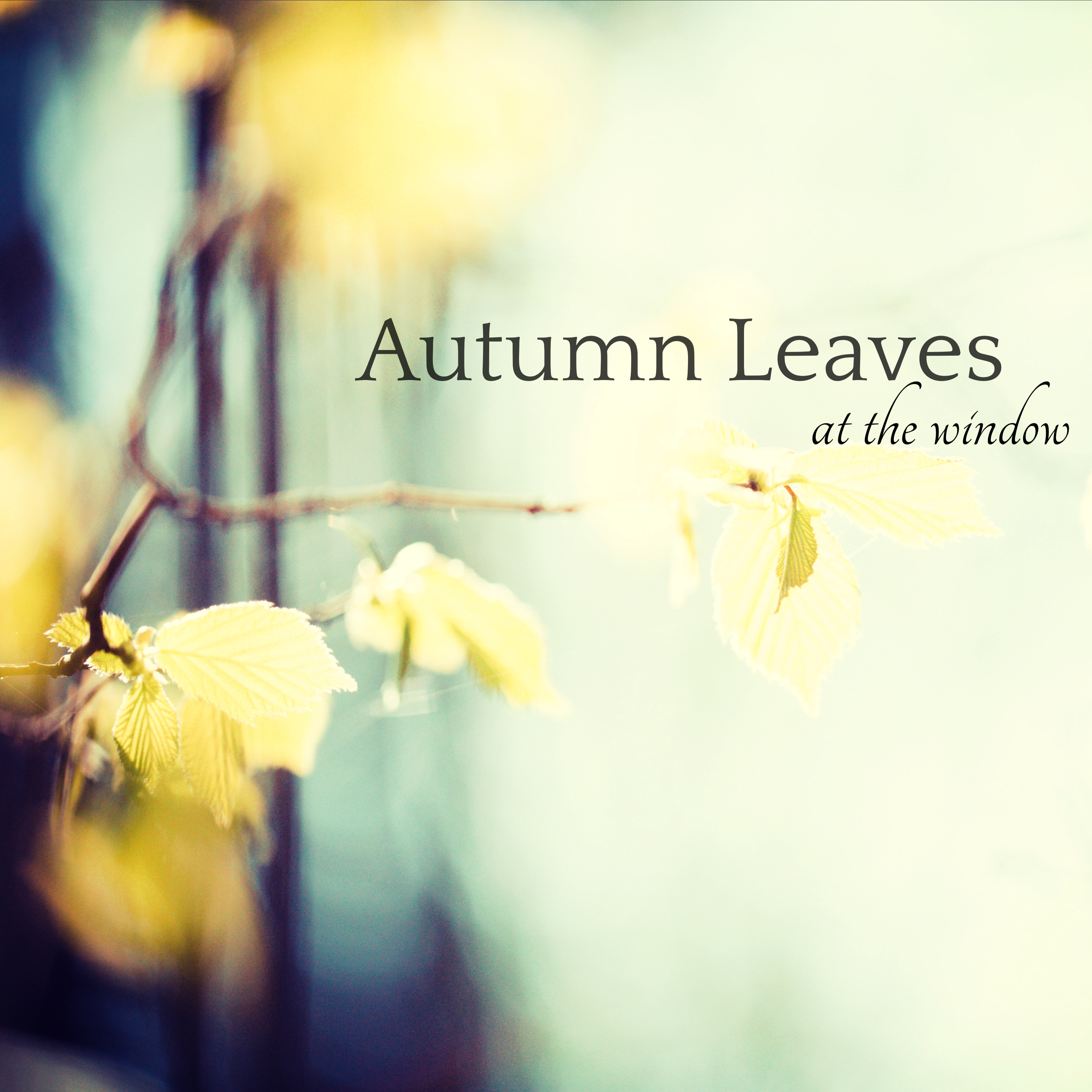 Autumn Leaves at the Window – Jazz & Piano Notes, Fall Leaves Romantic Autumn Mood Music