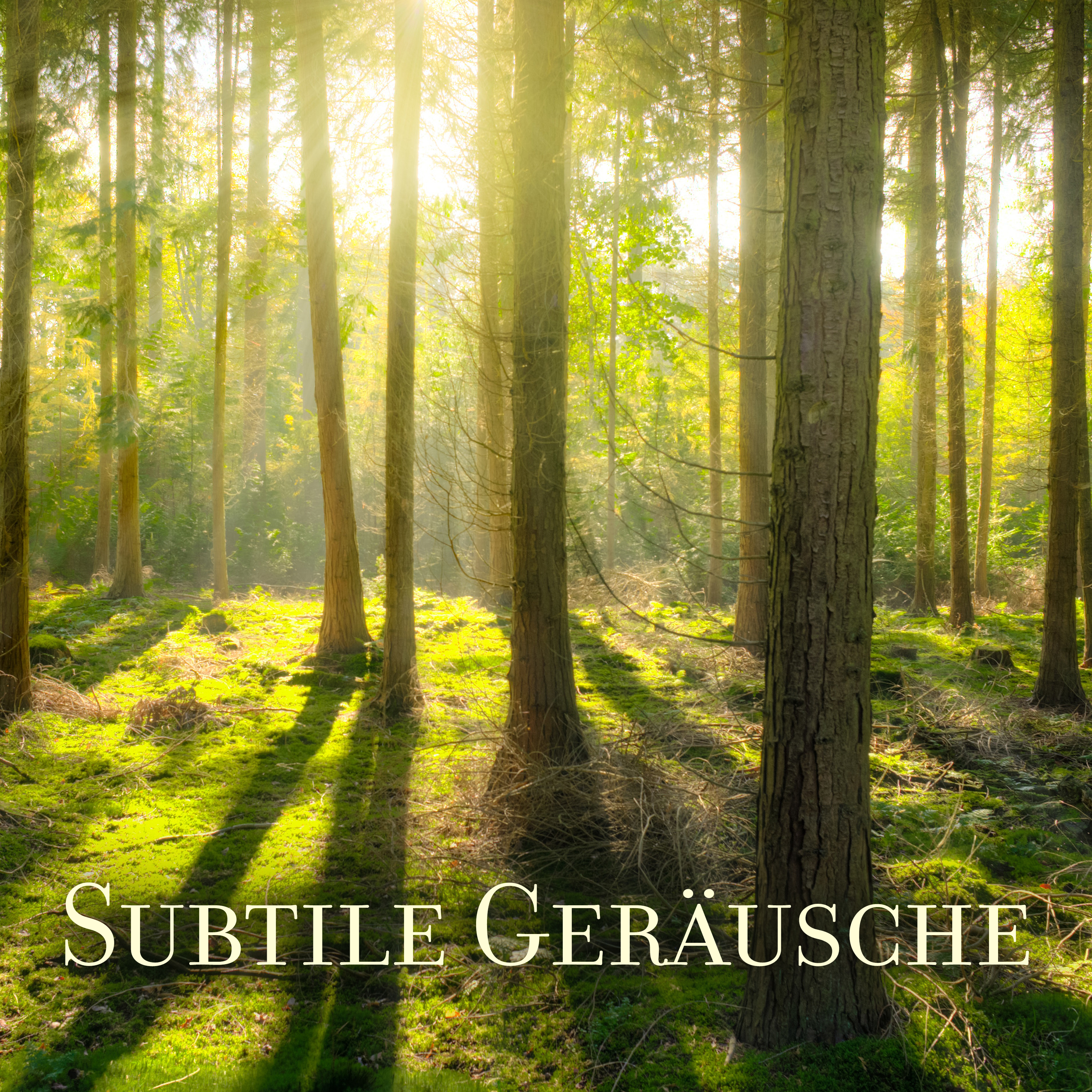 Subtile Geräusche