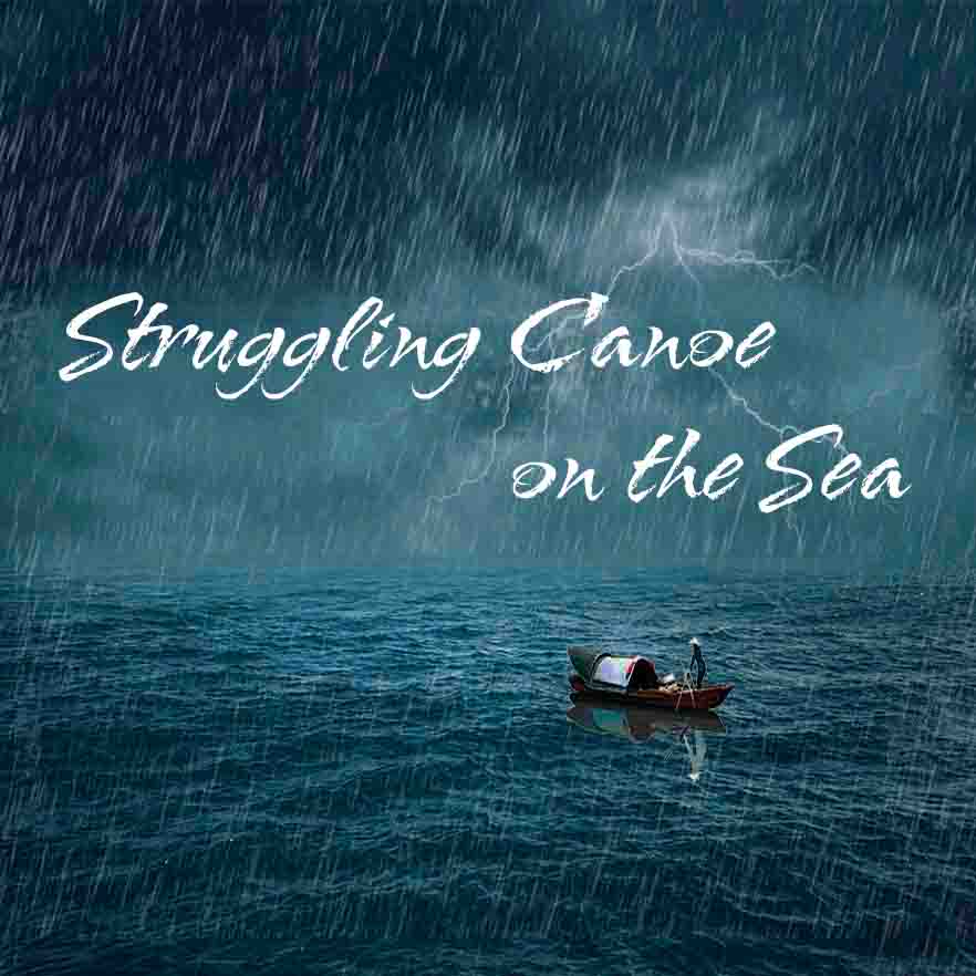 Struggling Canoe on the Sea