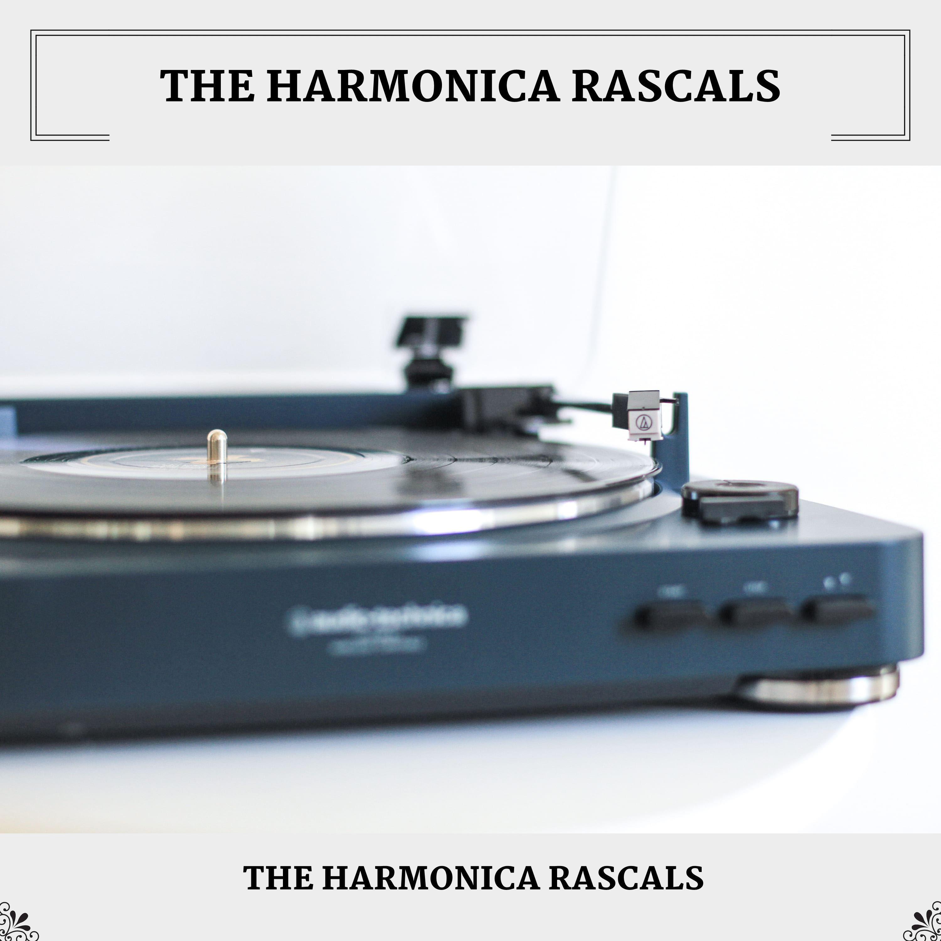 Medley: Tarantella / Harmonica Rhapsody