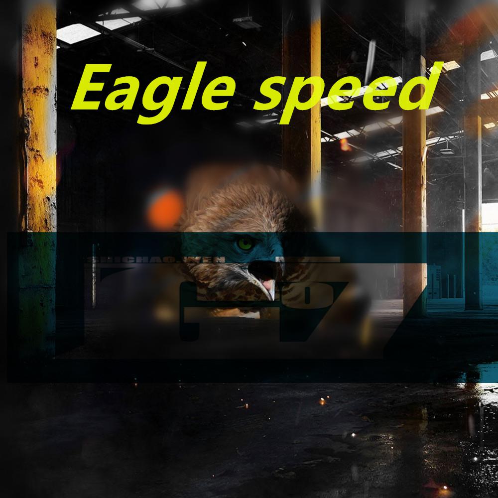 Eagle speed(Original Mix)