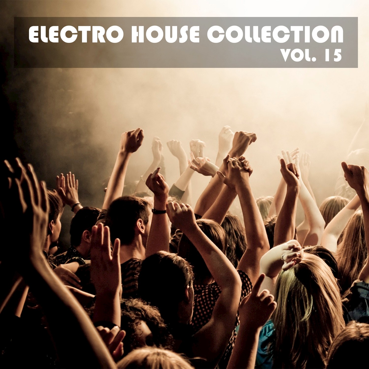 Electro House Collection, Vol. 15