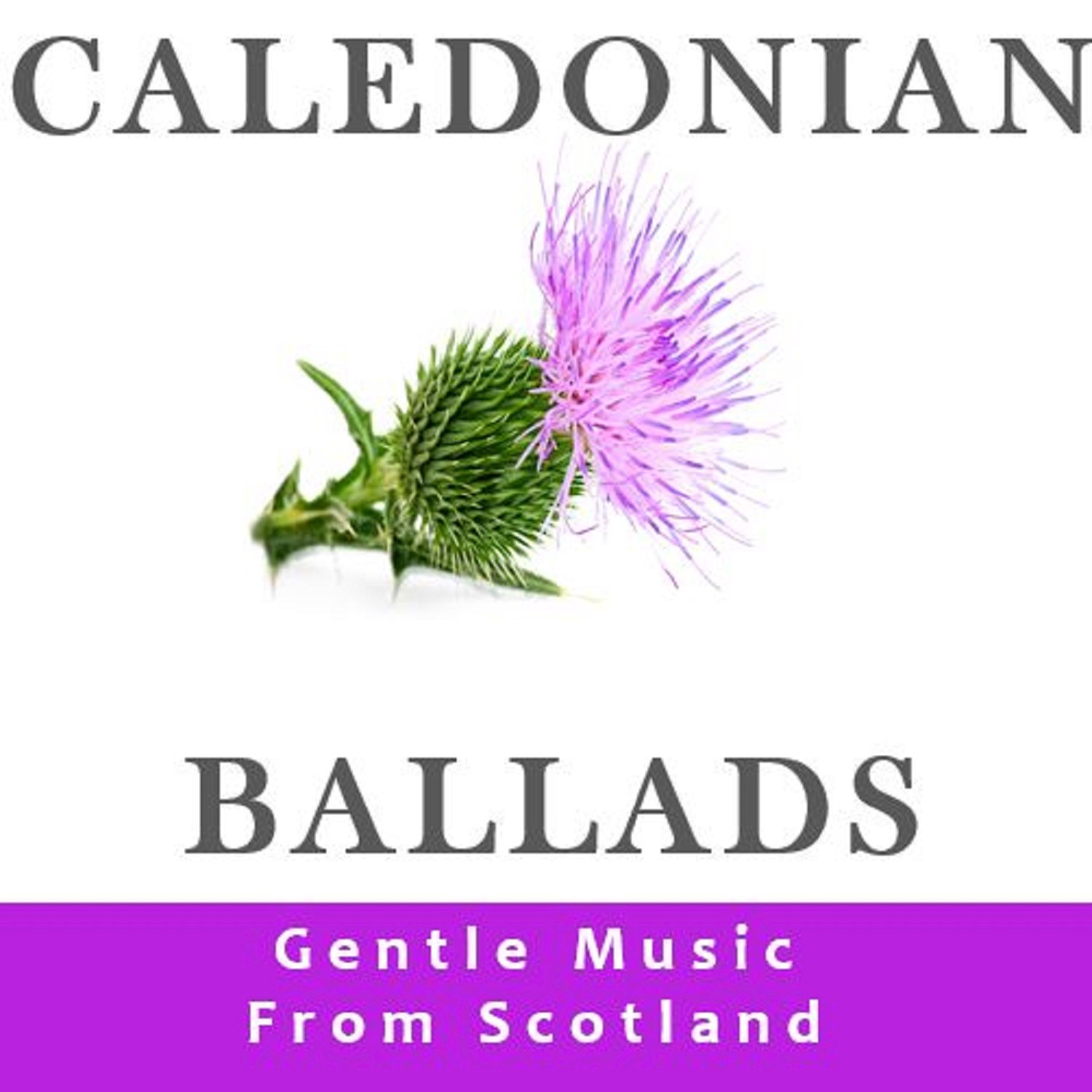 Caledonian Ballads: Gentle Music from Scotland