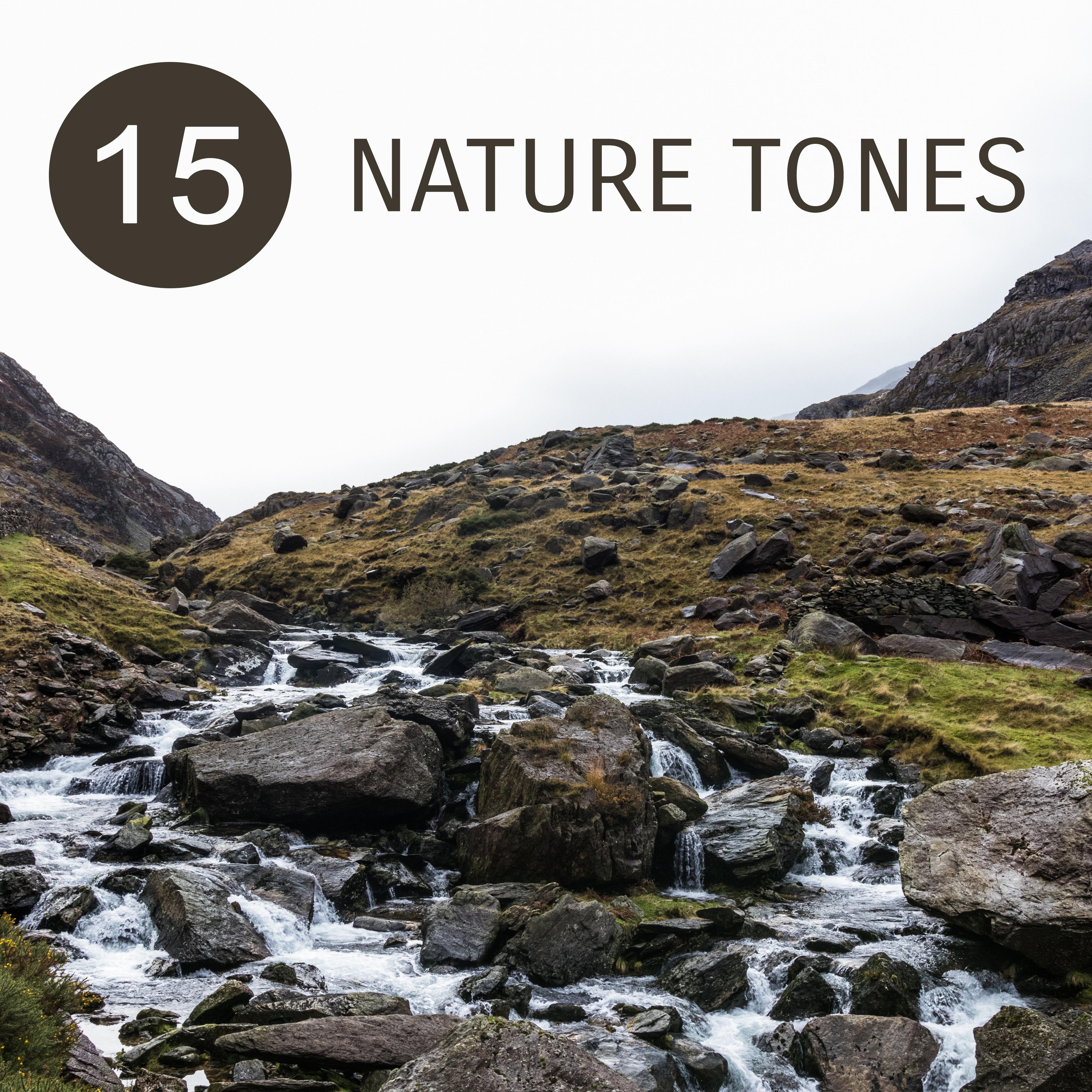 15 Nature Tones