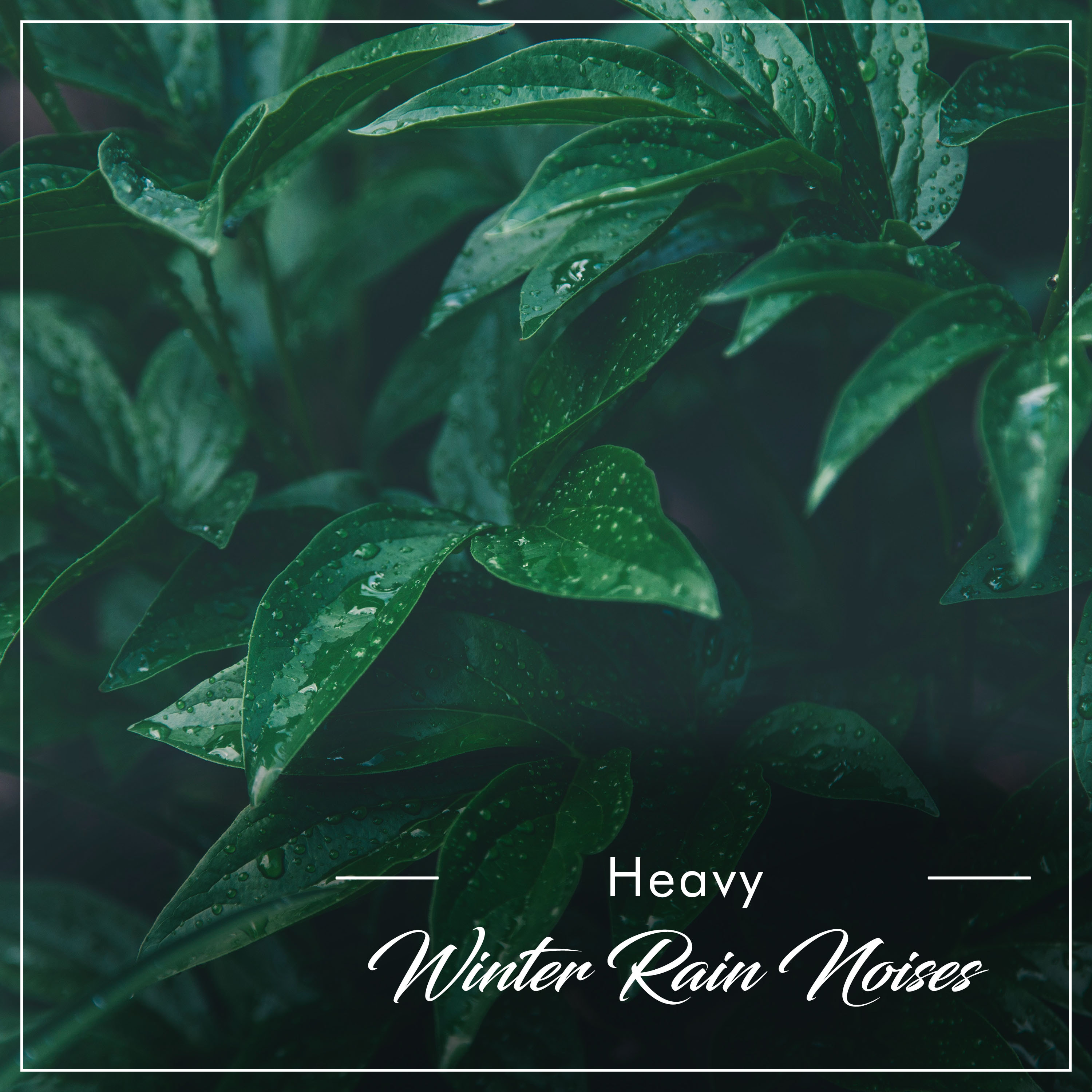 #15 Heavy Winter Rain Noises for Sleep and Relaxation