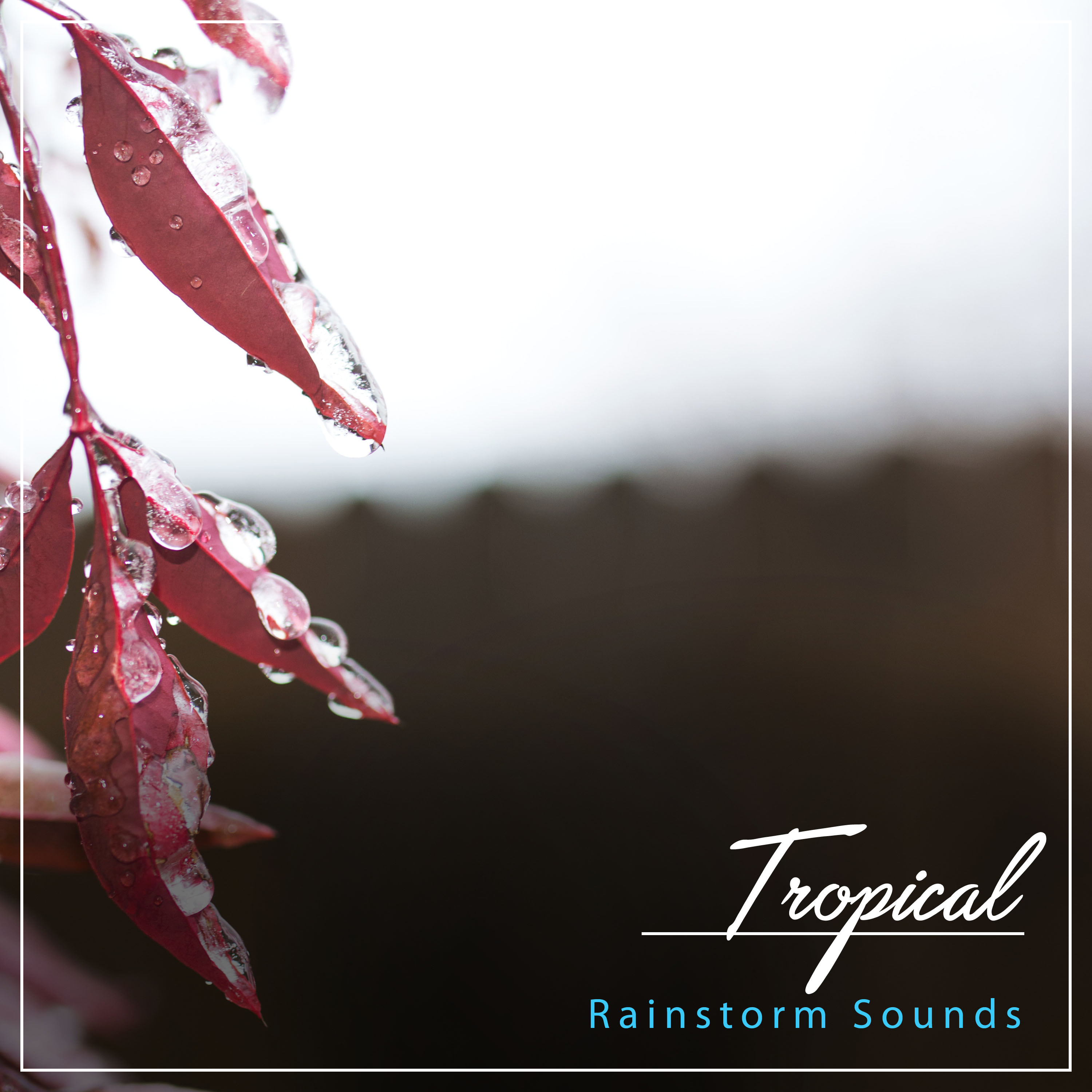 #14 Tropical Rainstorm Sounds for Relaxation and Ambience