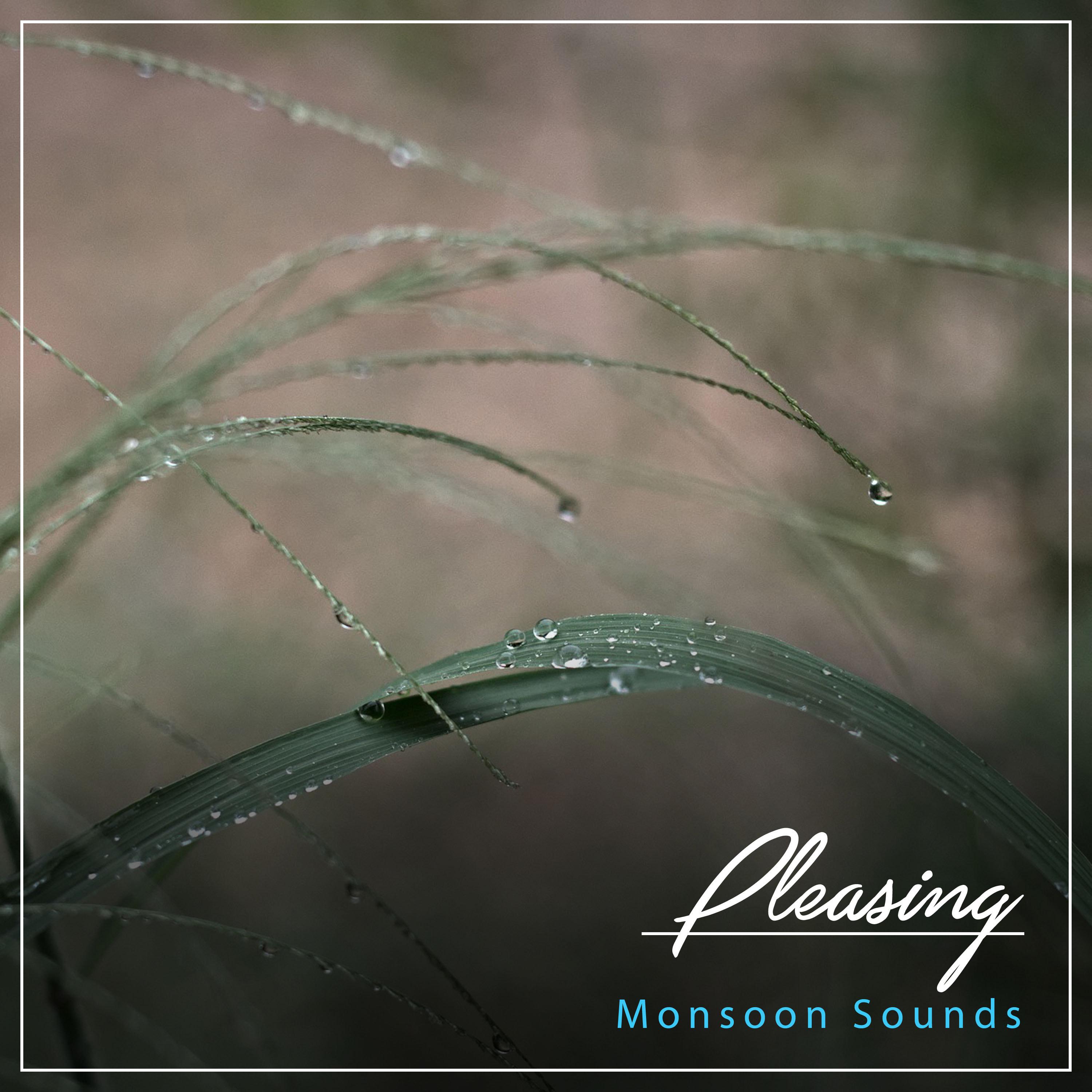 #12 Pleasing Monsoon Sounds
