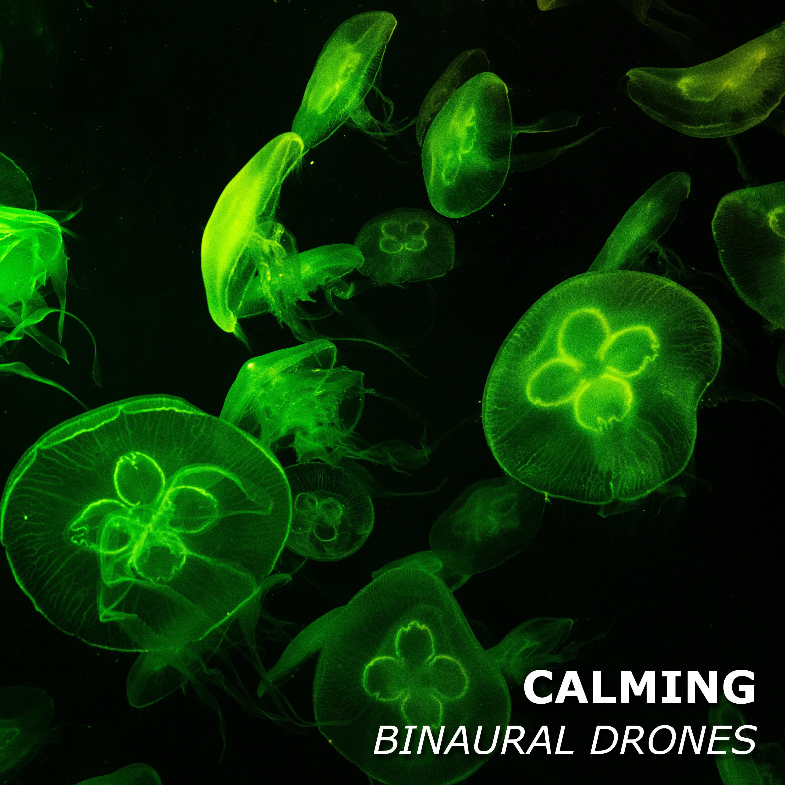 #20 Calming Binaural Drones