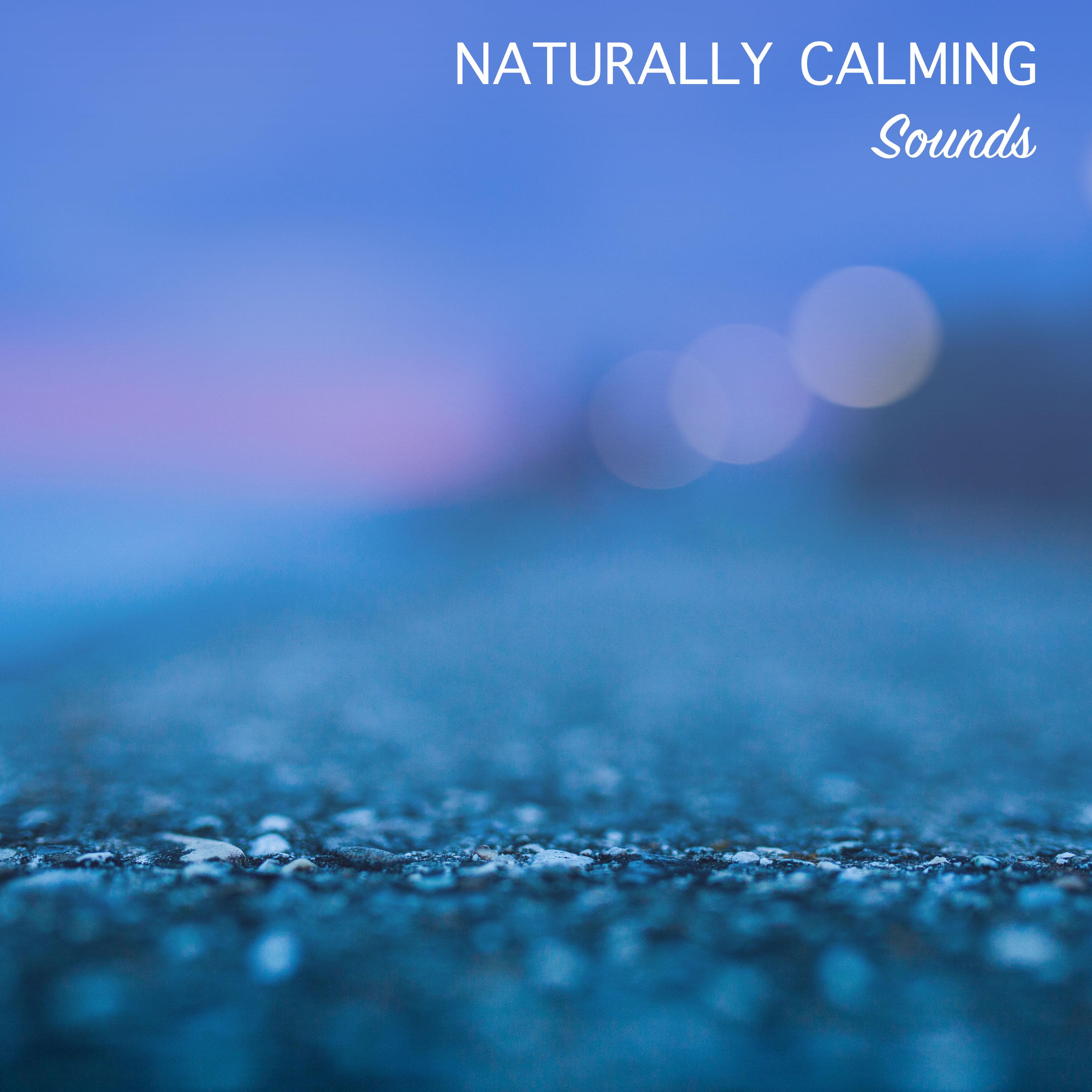#15 Naturally Calming Sounds for Asian Spa, Meditation & Yoga