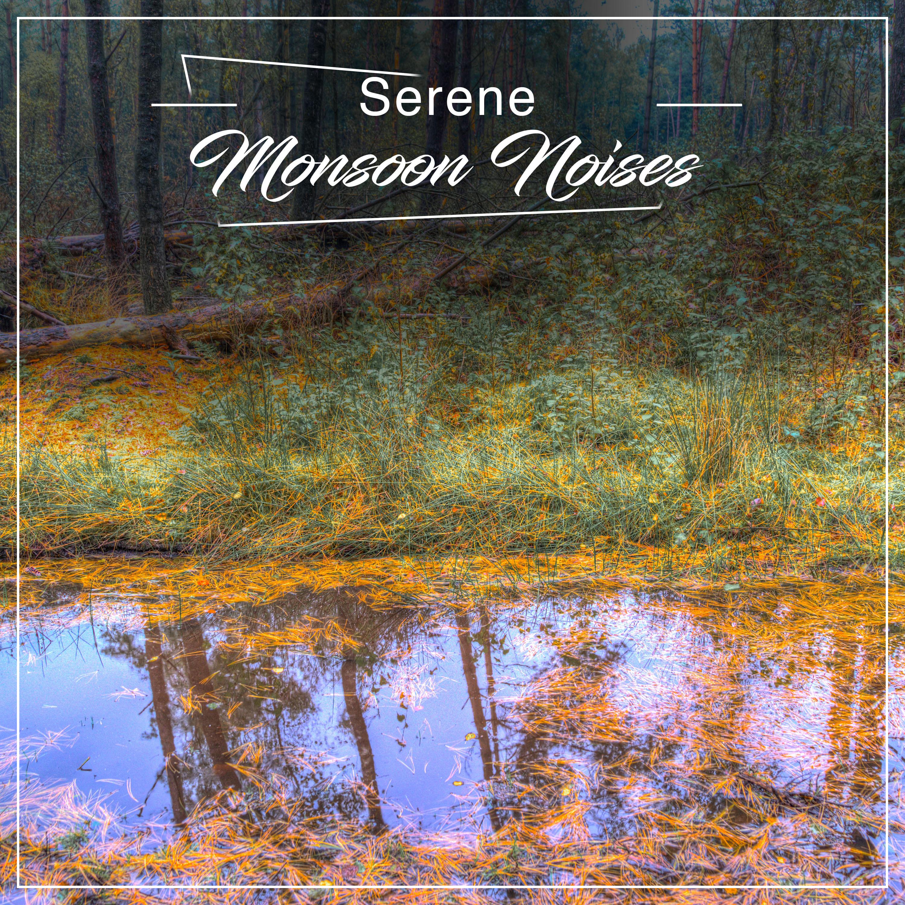 #16 Serene Monsoon Noises for Relaxation