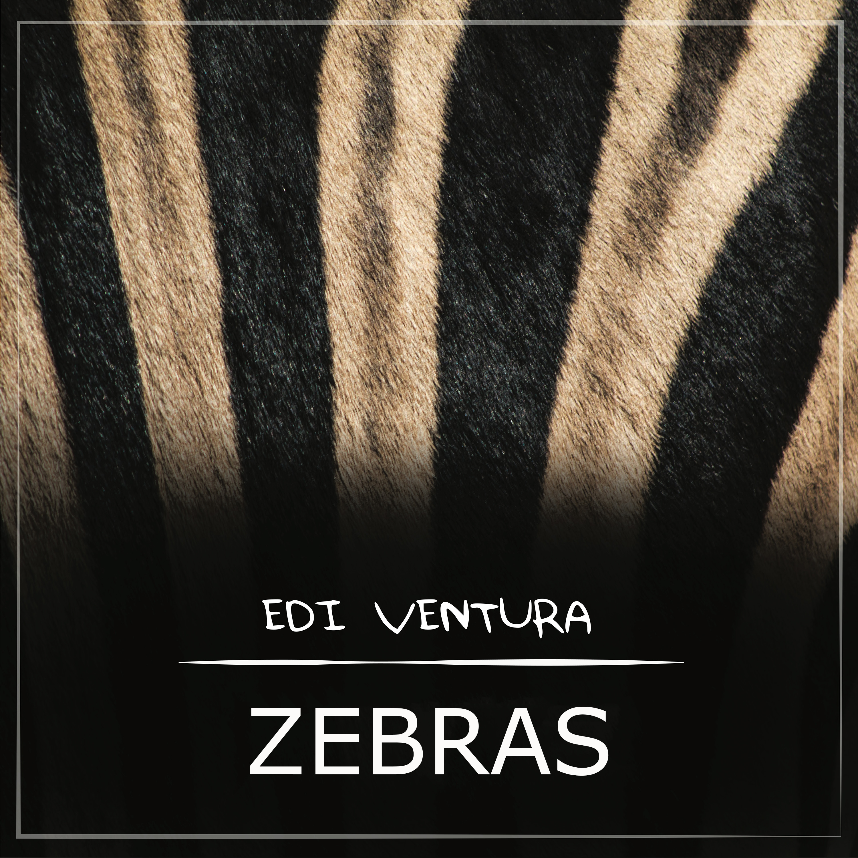 Zebras