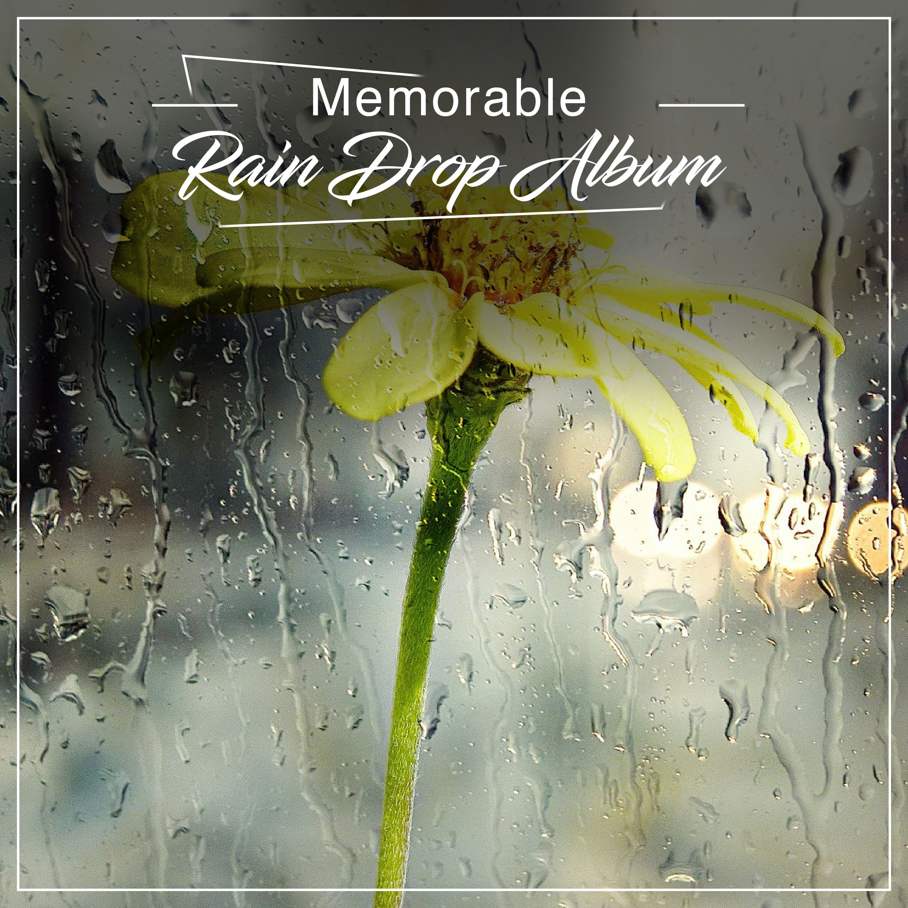 #19 Memorable Rain Drop Album