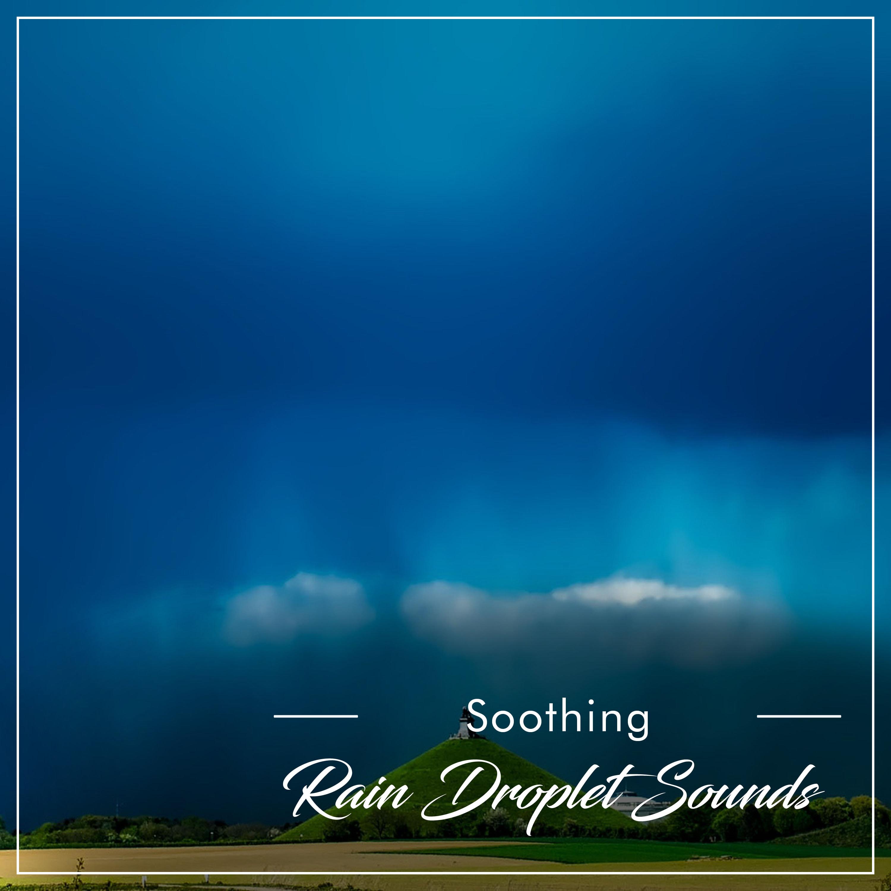 #11 Soothing Rain Droplet Sounds from Nature